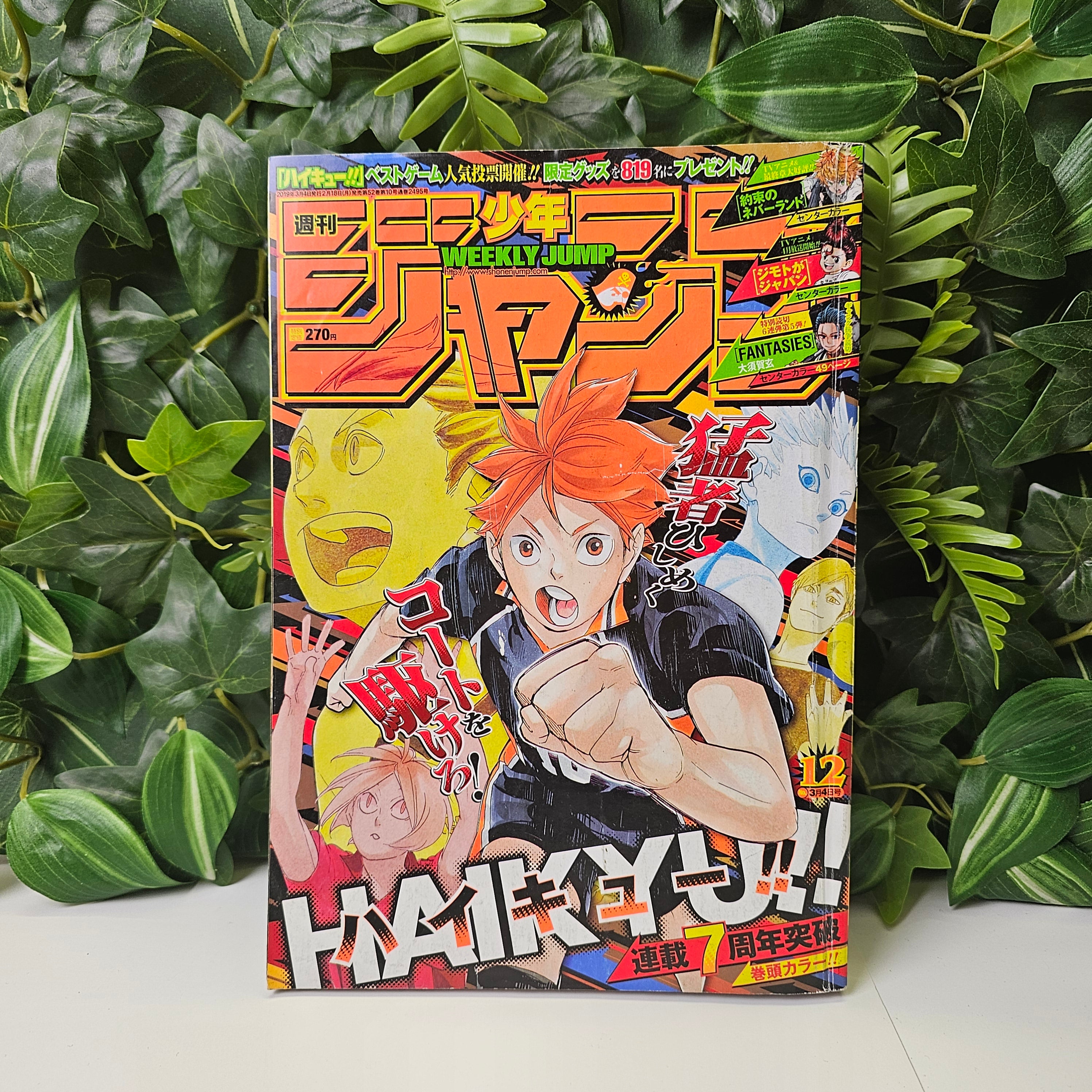 Weekly Shonen Jump n°12 (2019)