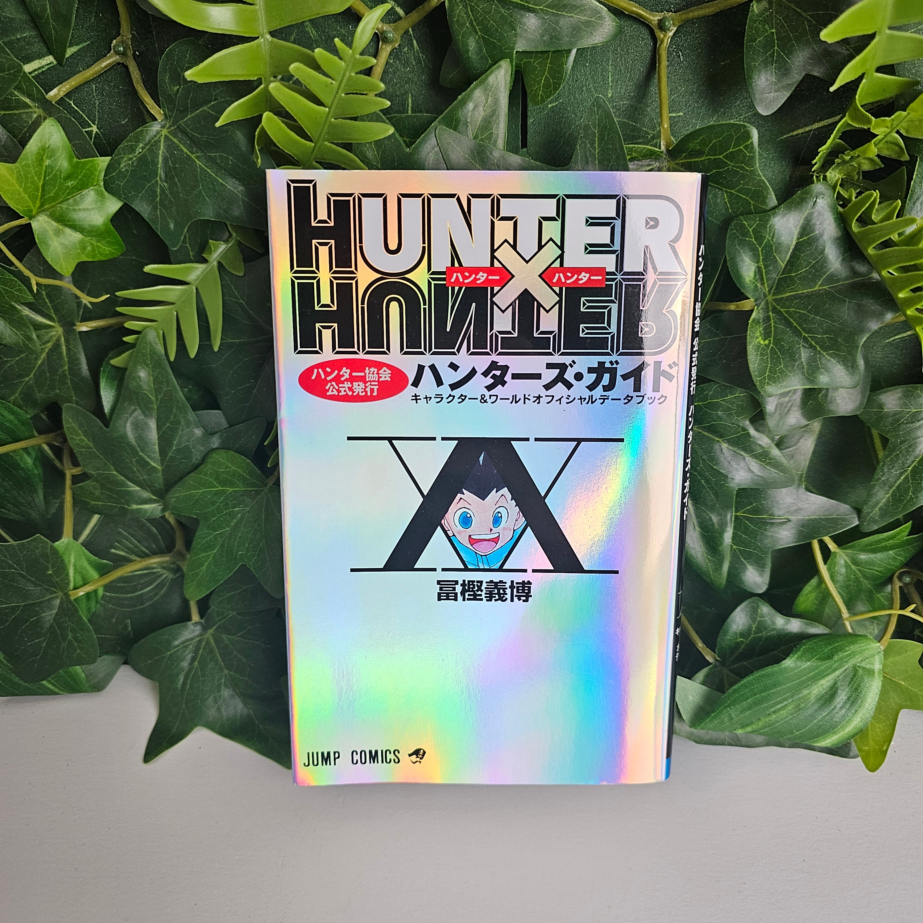 Hunter x Hunter - Guidebook (VO)