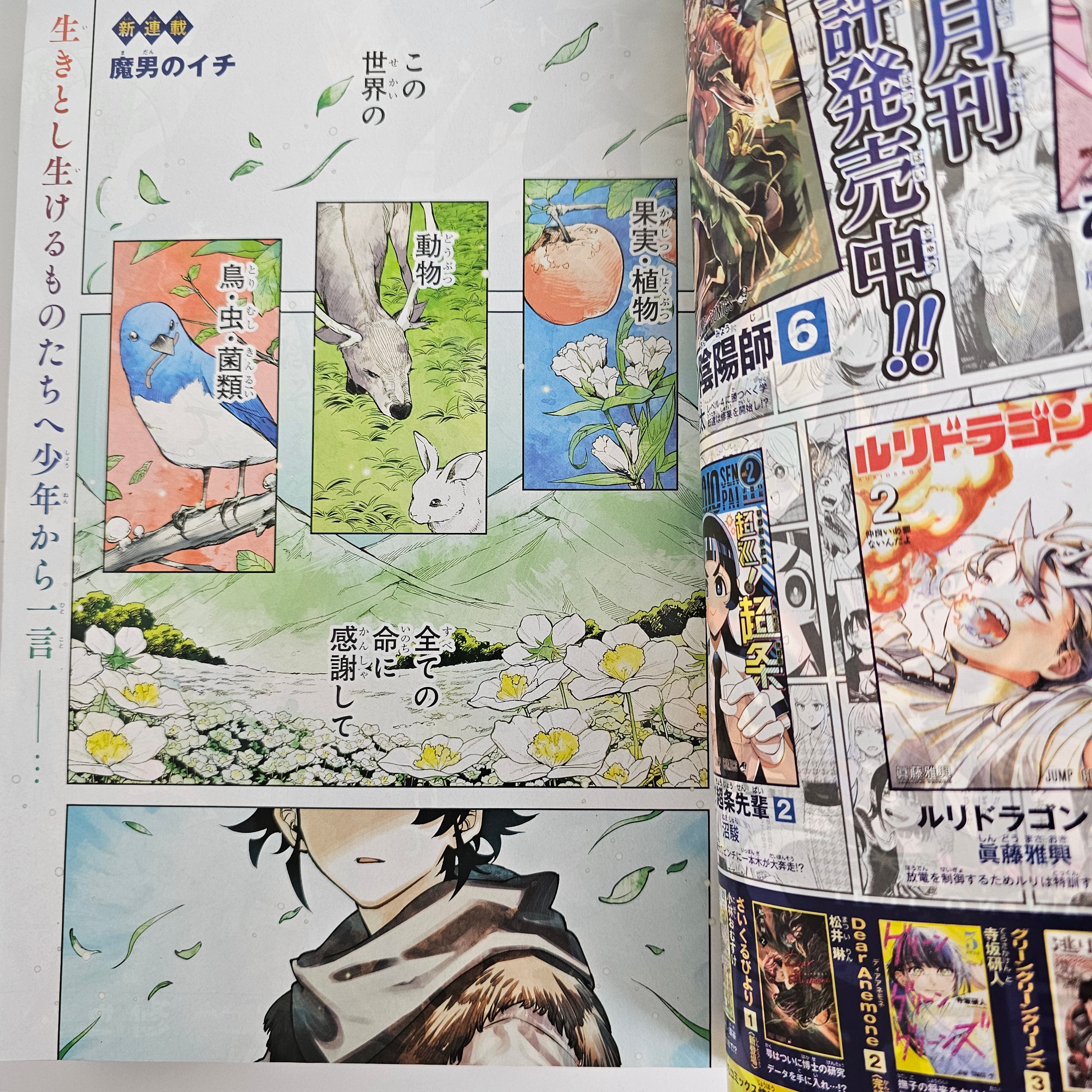 Weekly Shonen Jump n°41 (2024) (premier chapitre Ichi the Witch)