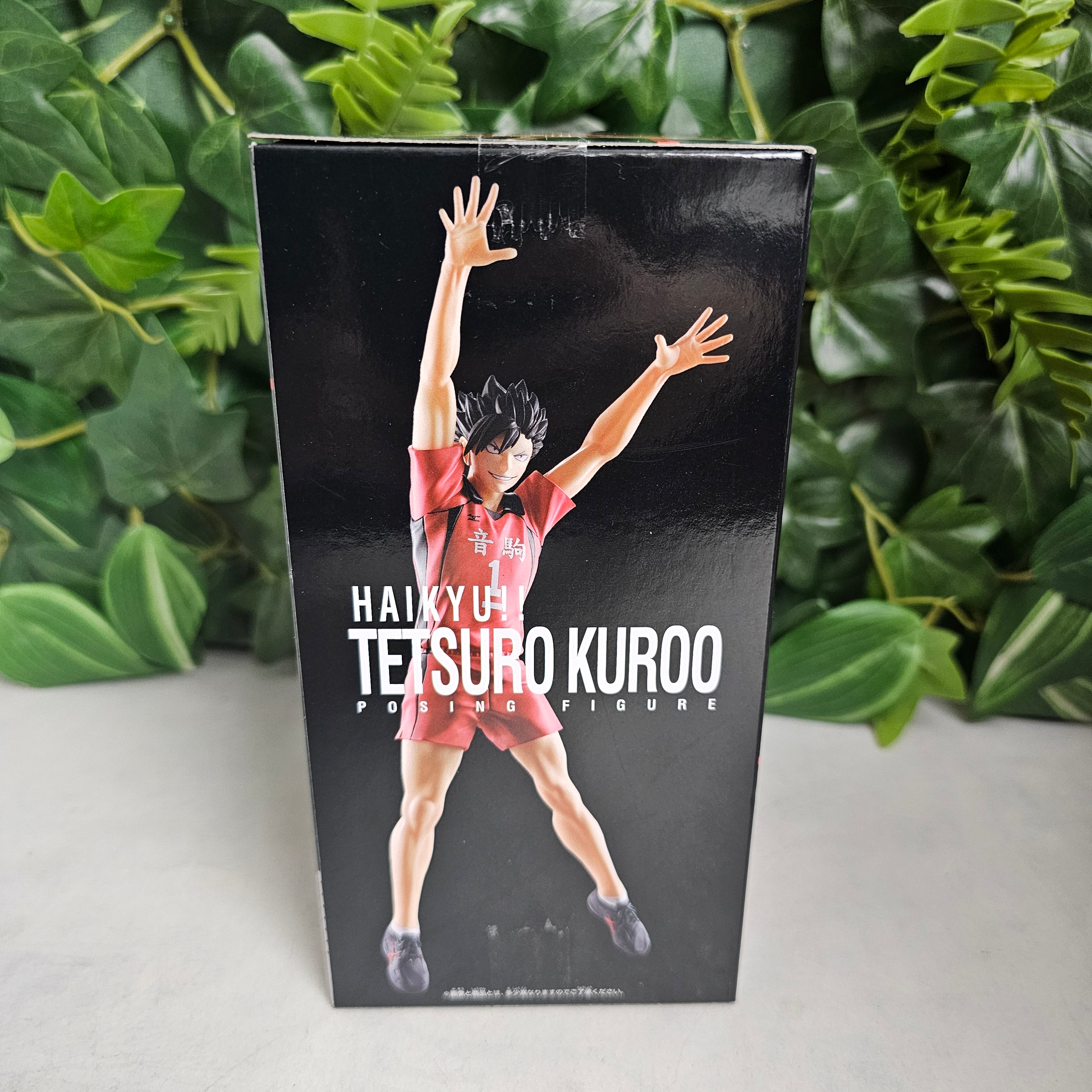 Posing Figure - Tetsuro Kuroo