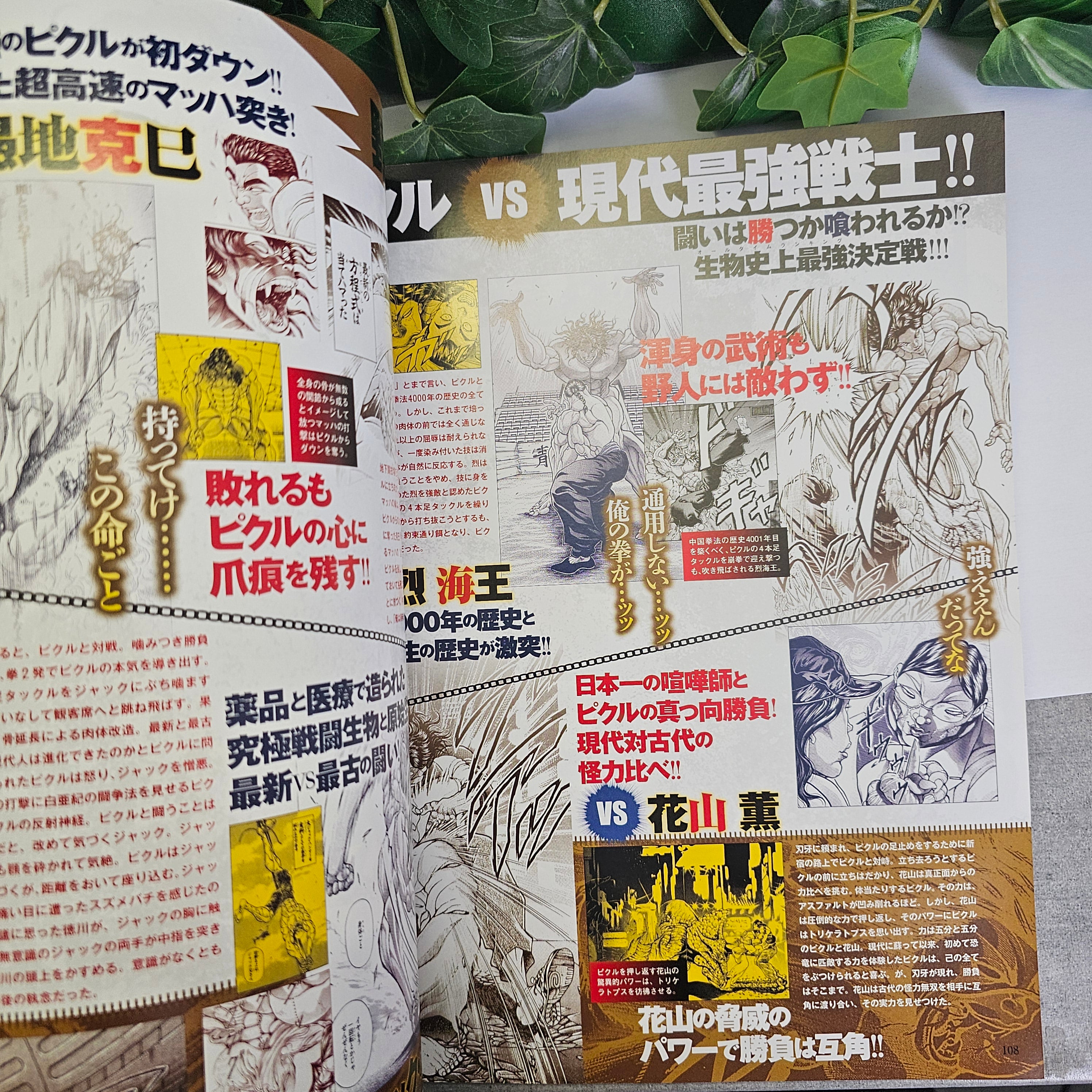 Mook - Baki Great Dissection Clash