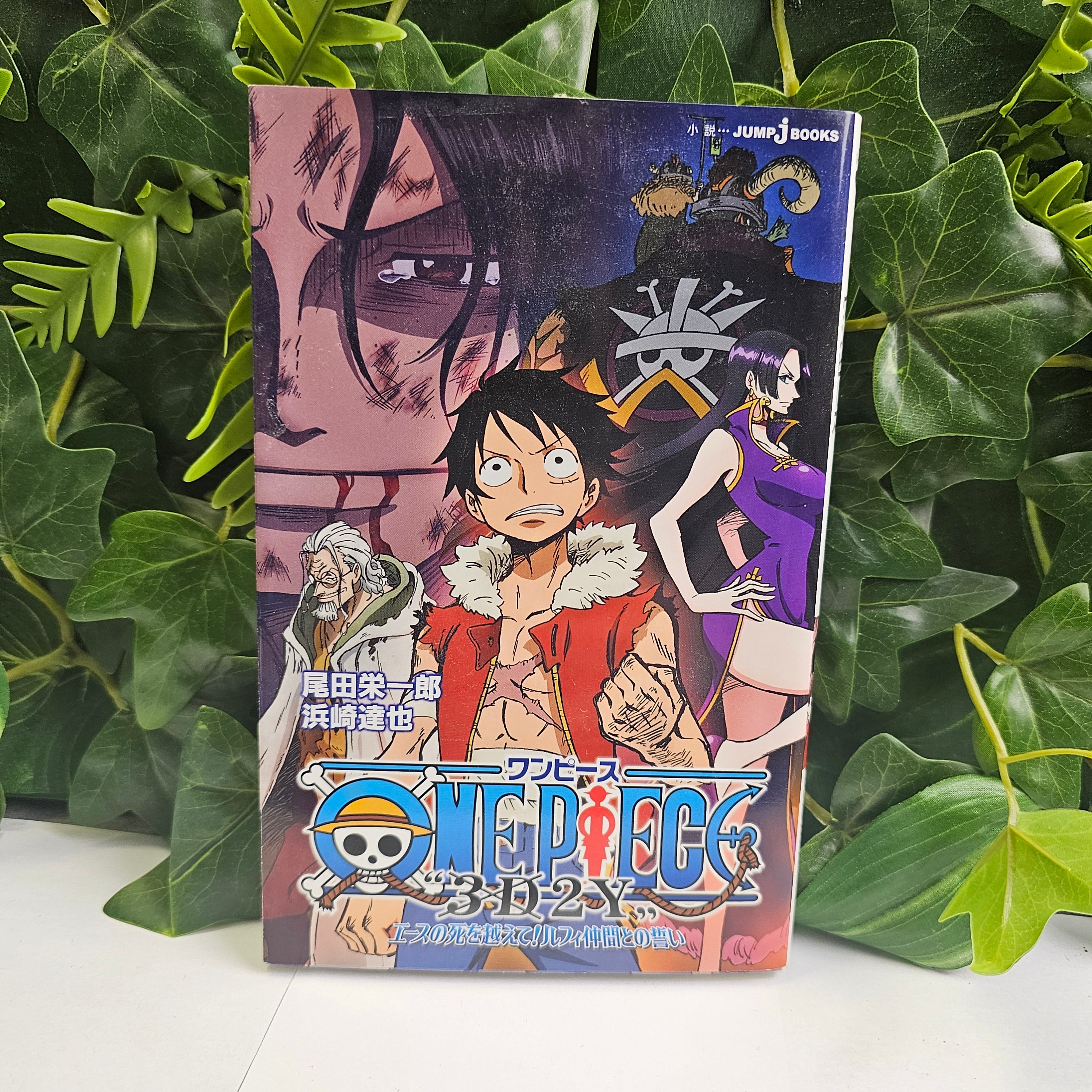One Piece - Novel 3D2Y