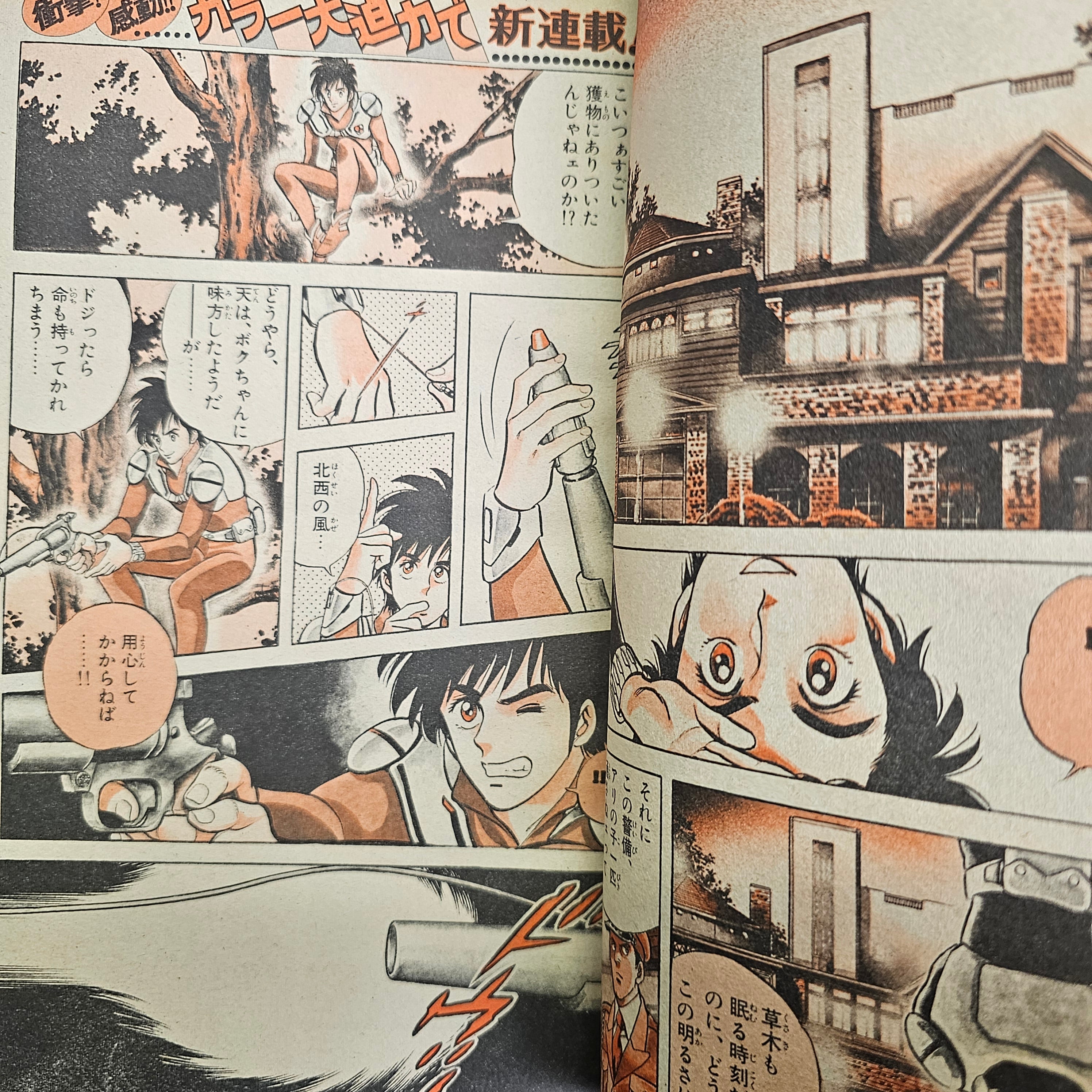 Weekly Shonen Sunday n°15 (1985) (Night Bird)