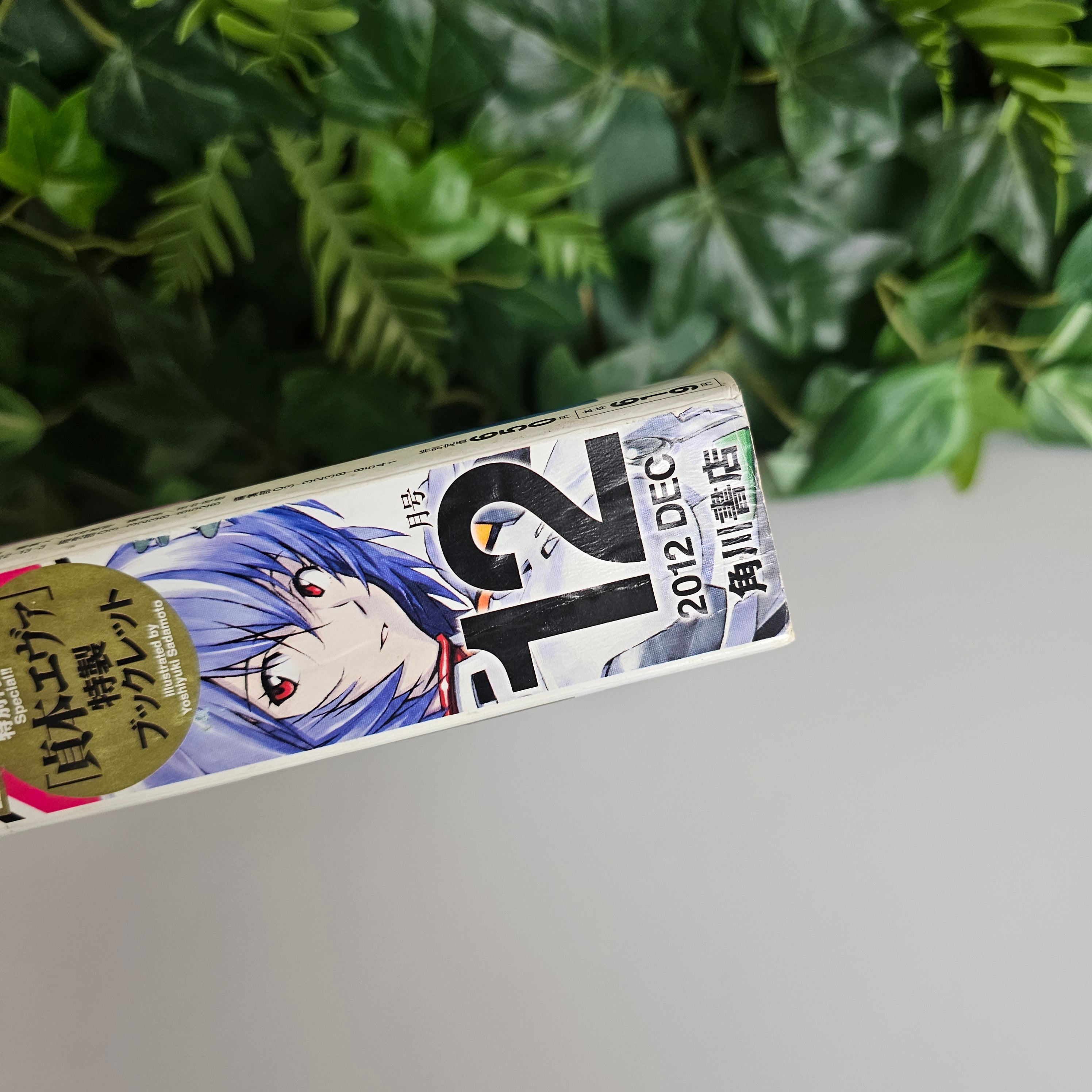 Young Ace n°12 (2012) (Neon Genesis Evangelion)