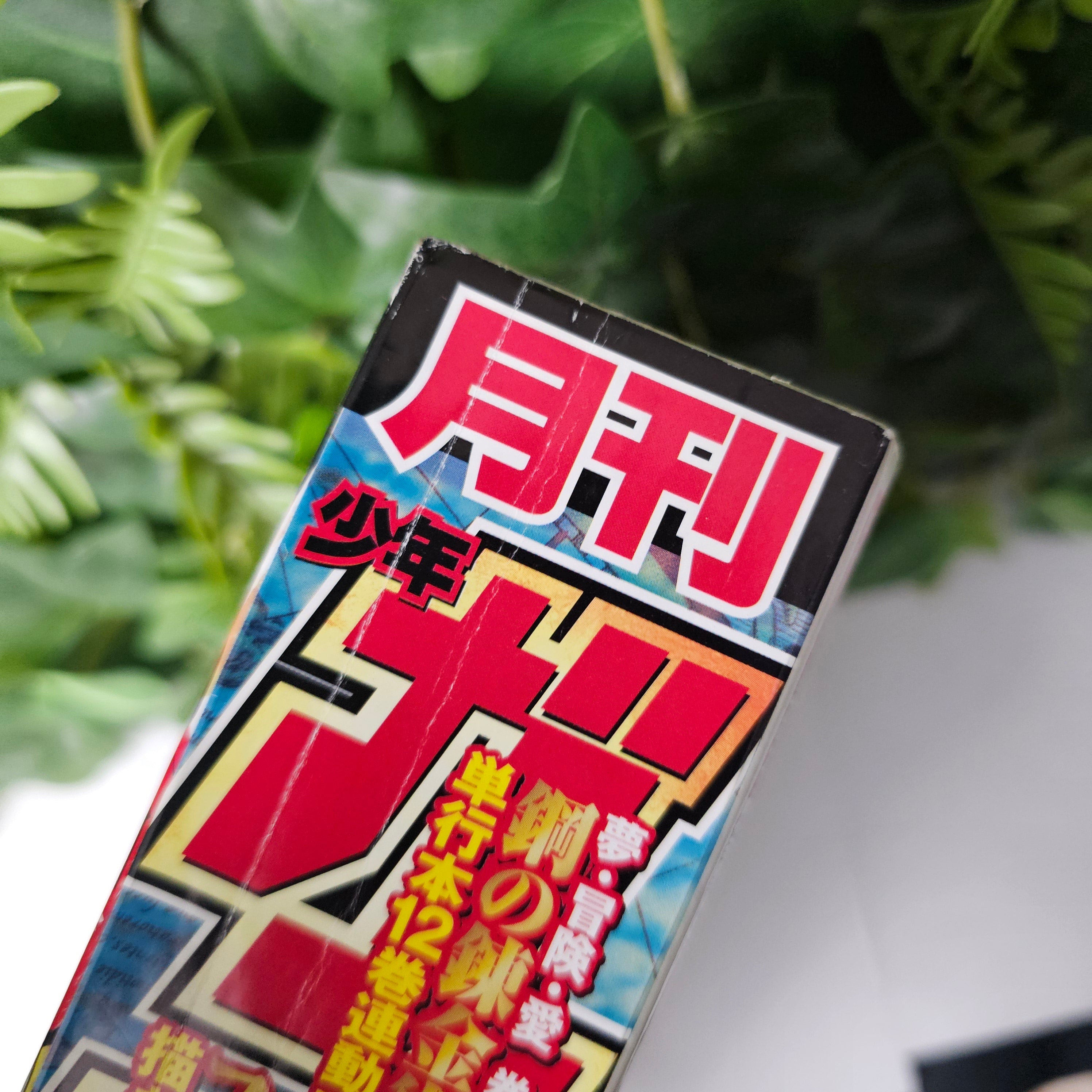 Monthly Shonen Gangan n°12 (2005) (Fullmetal Alchemist)