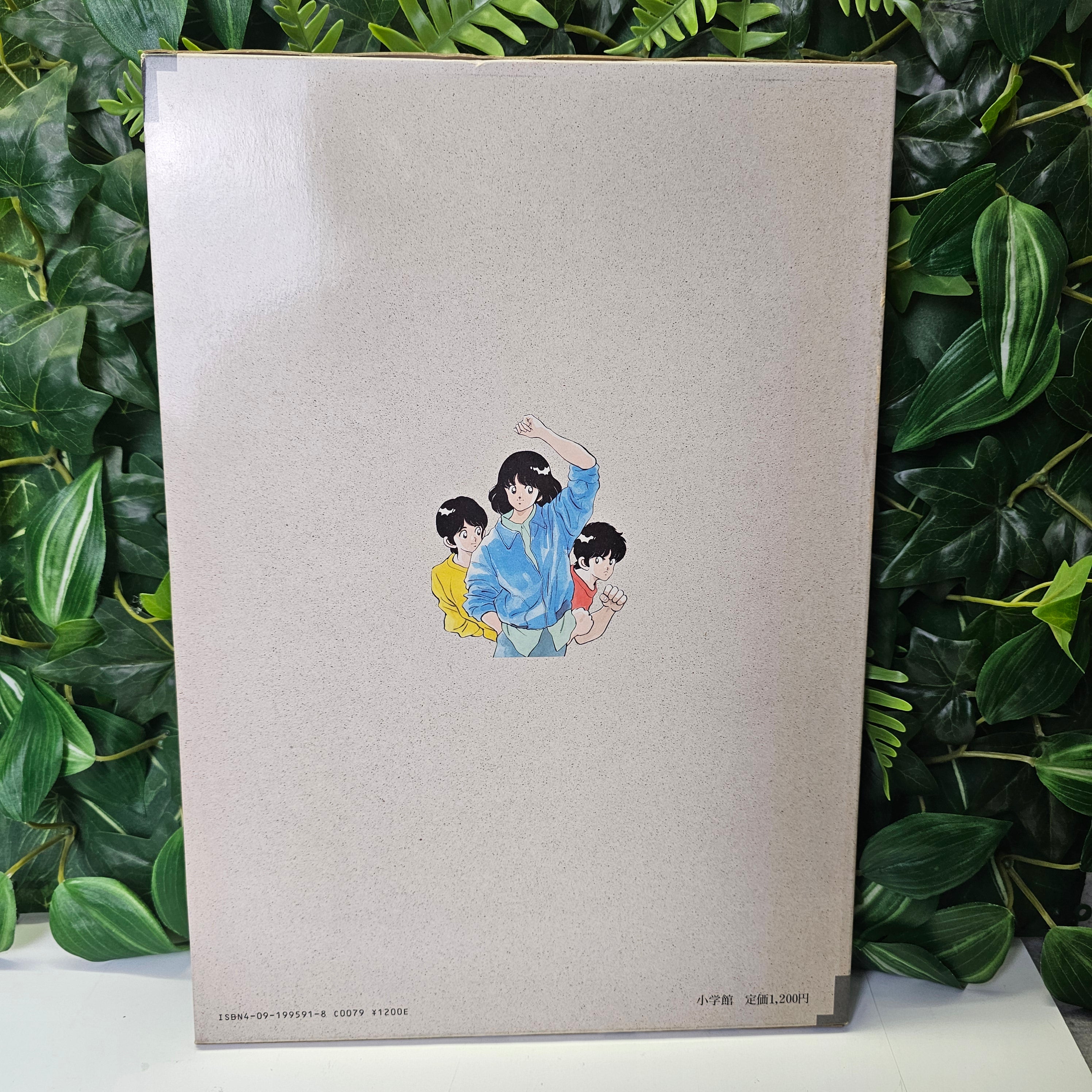 Touch - Shonen Sunday Illustration