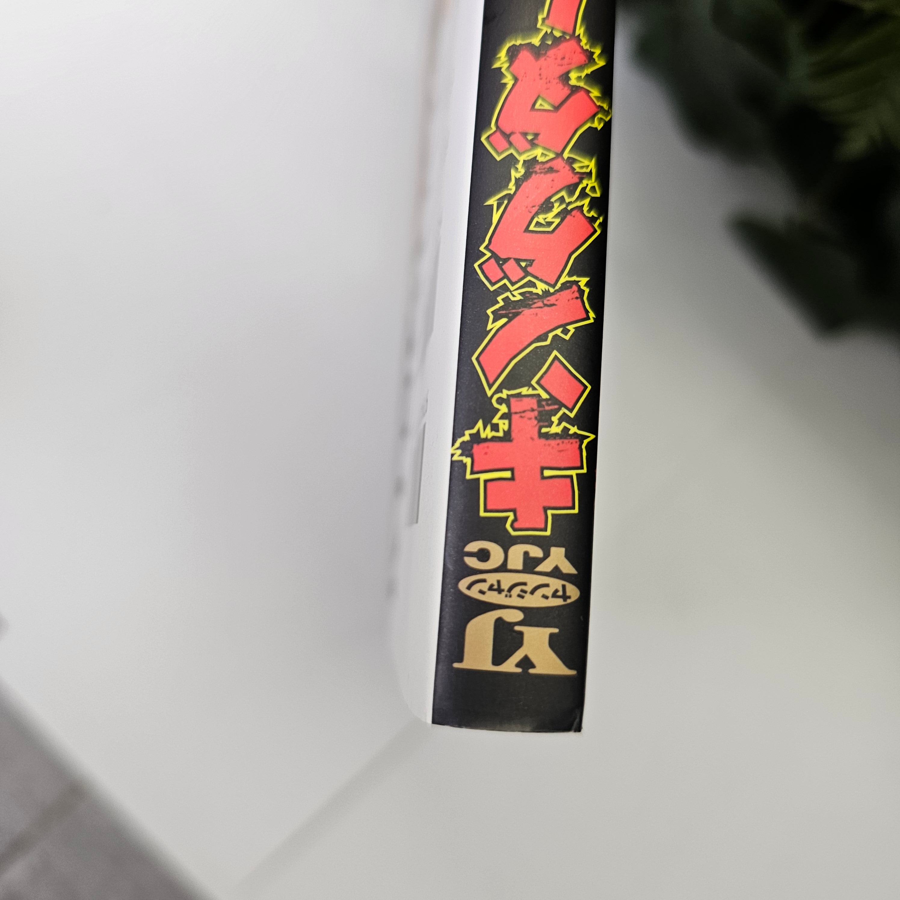 Kingdom - Tome 1 (VO)