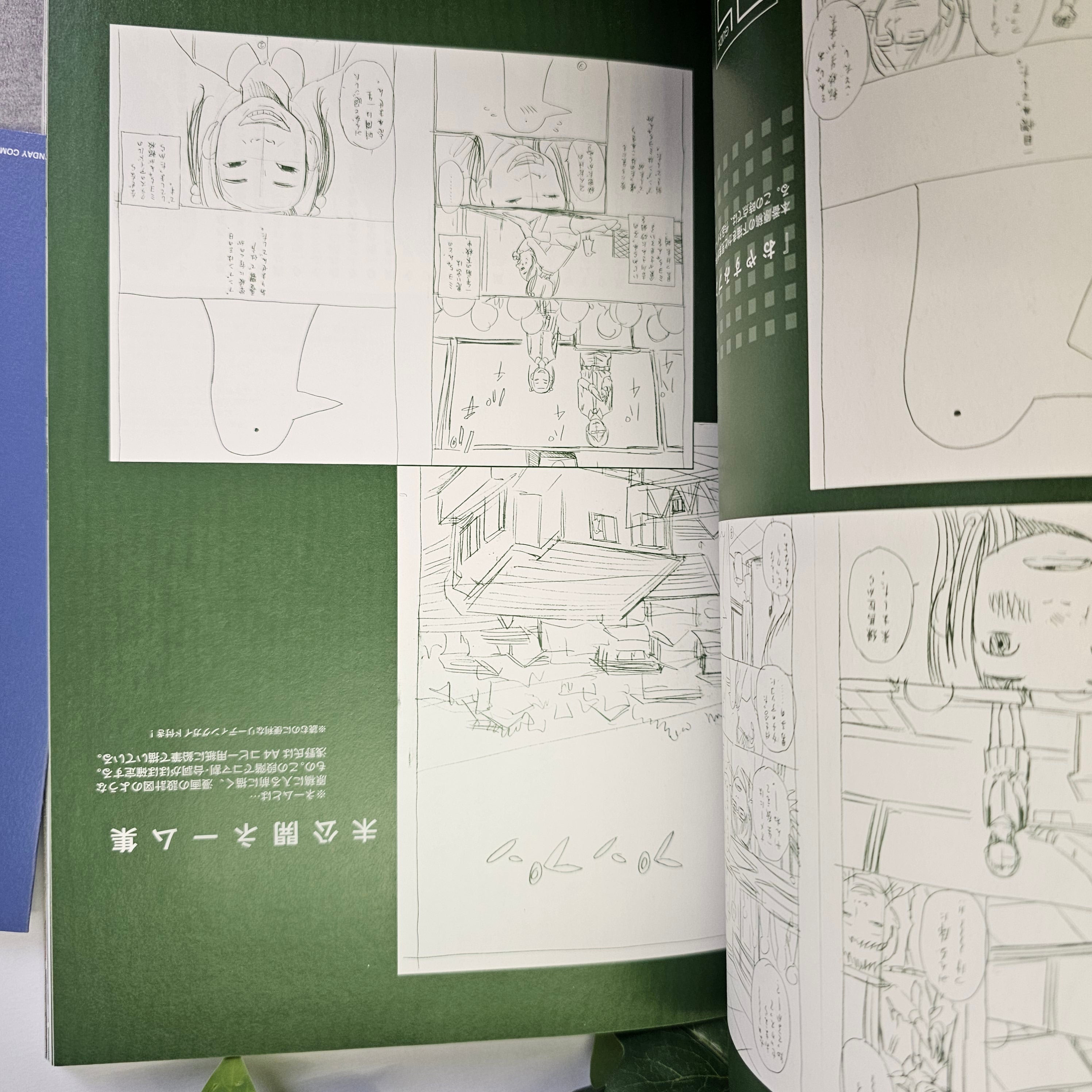 Artbook CTRL + - Inio Asano