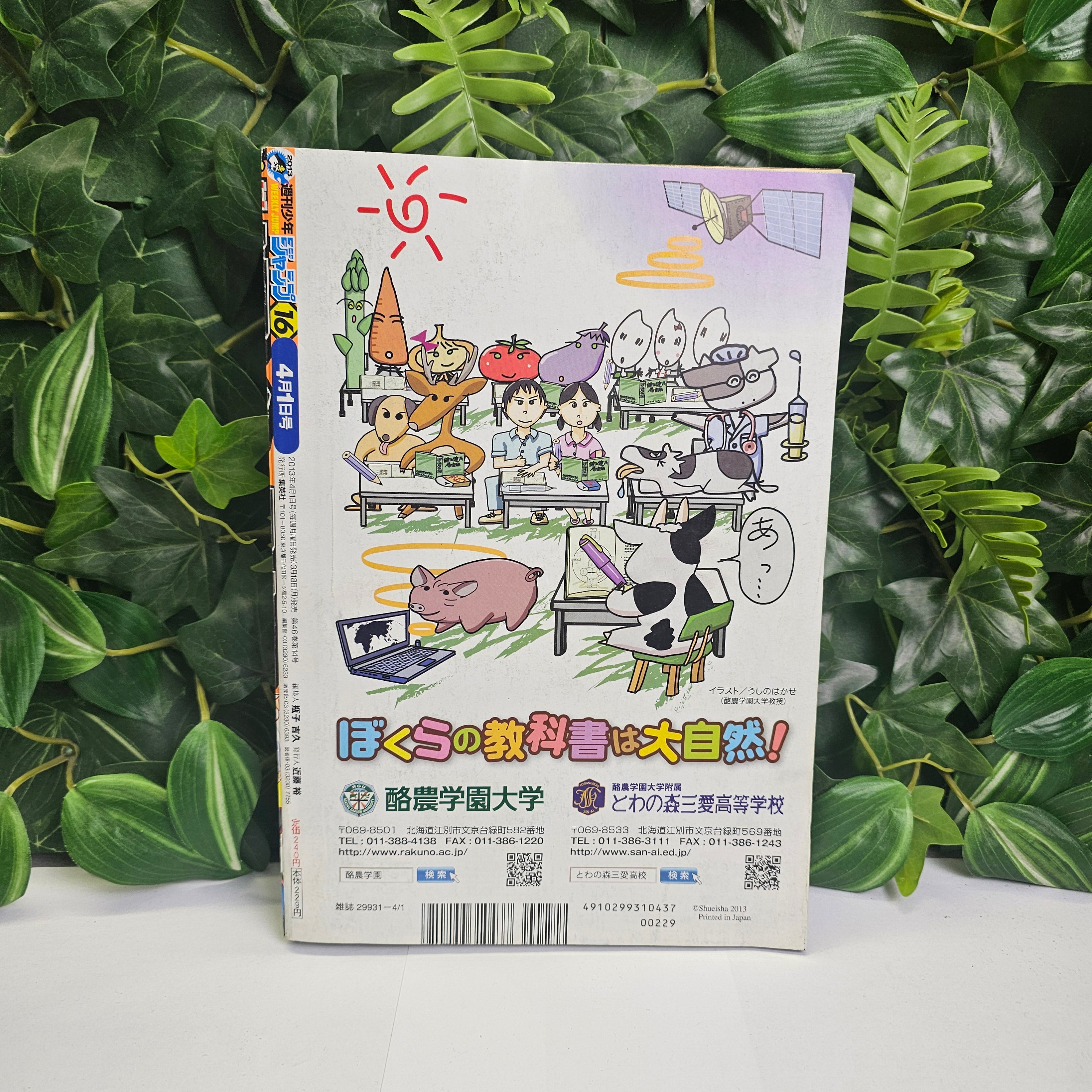 Weekly Shonen Jump n°16 (2013) (Gintama)