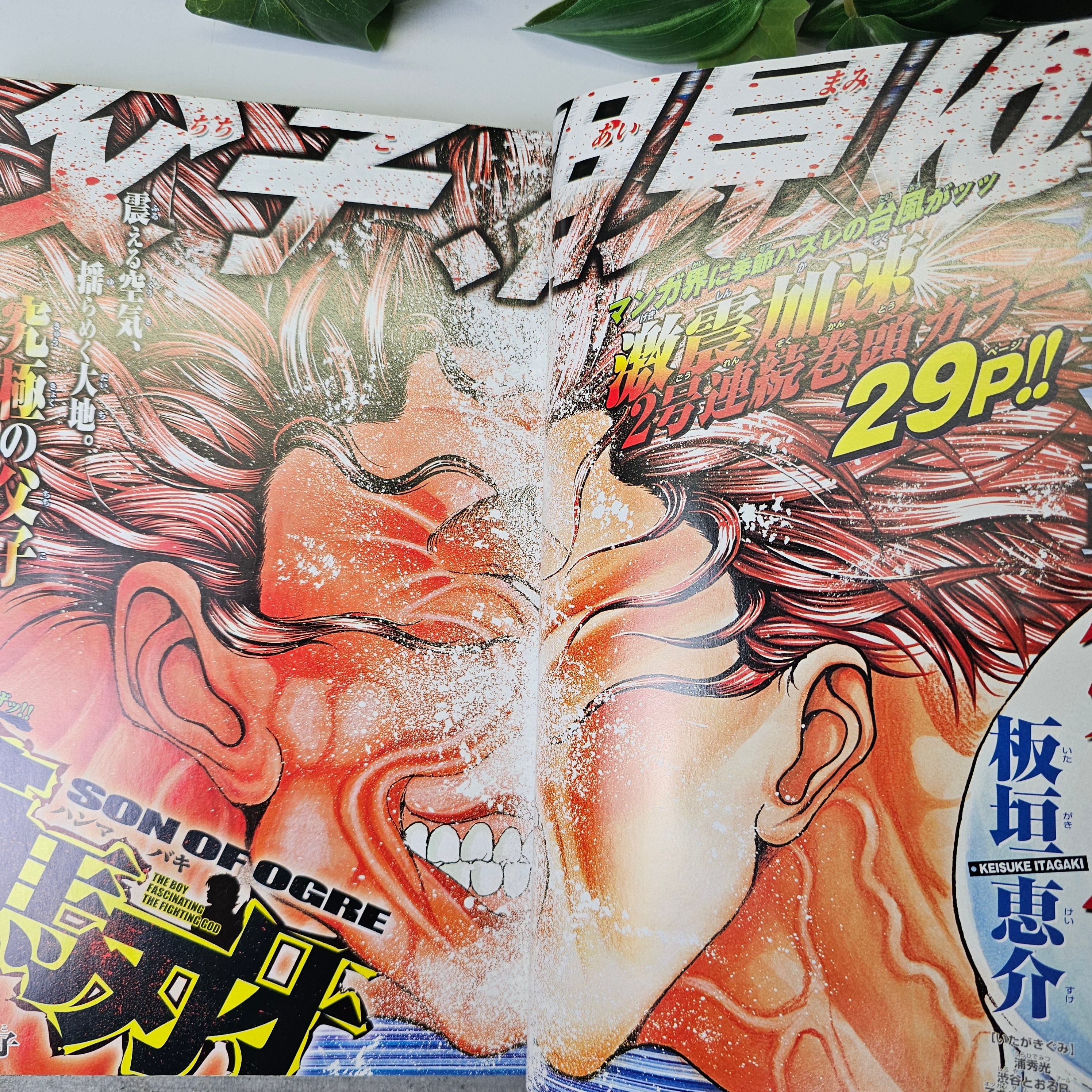 Weekly Shonen Champion n°2-3 (2006)