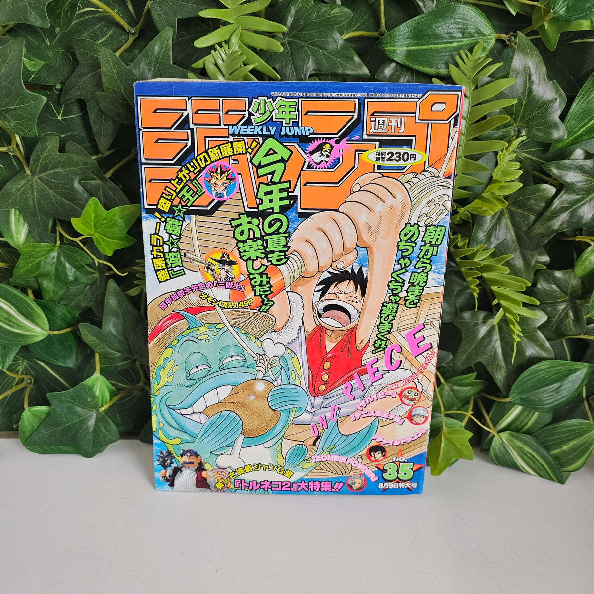 Weekly Shonen Jump n°35 (1999) (One Piece)
