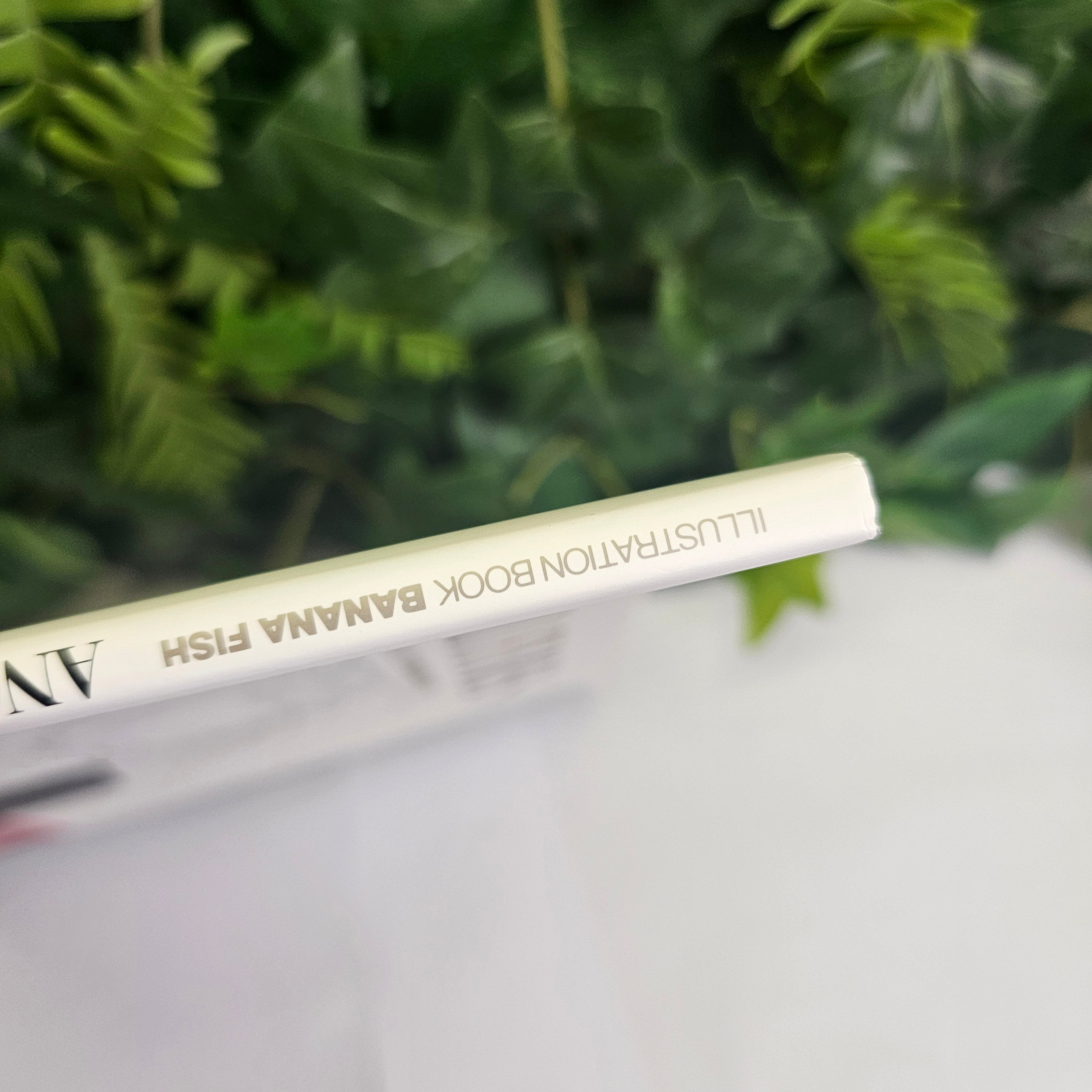 Angel Eyes - Banana Fish