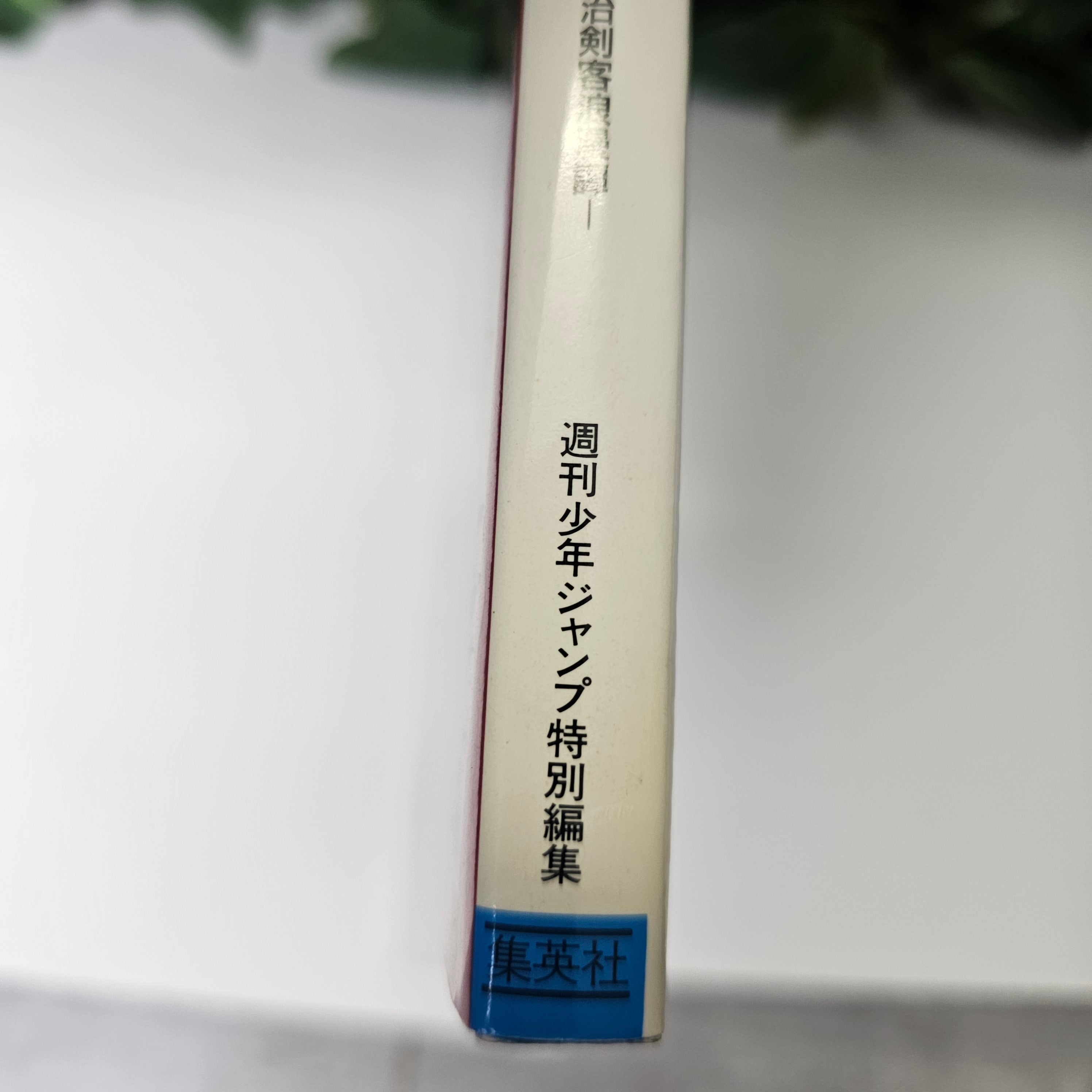 Character Book - Kenshin Le Vagabond
