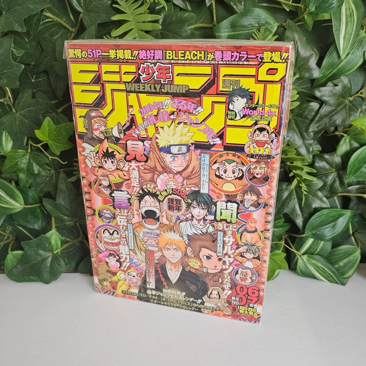 Weekly Shonen Jump n°6-7 (2004) (One Piece)