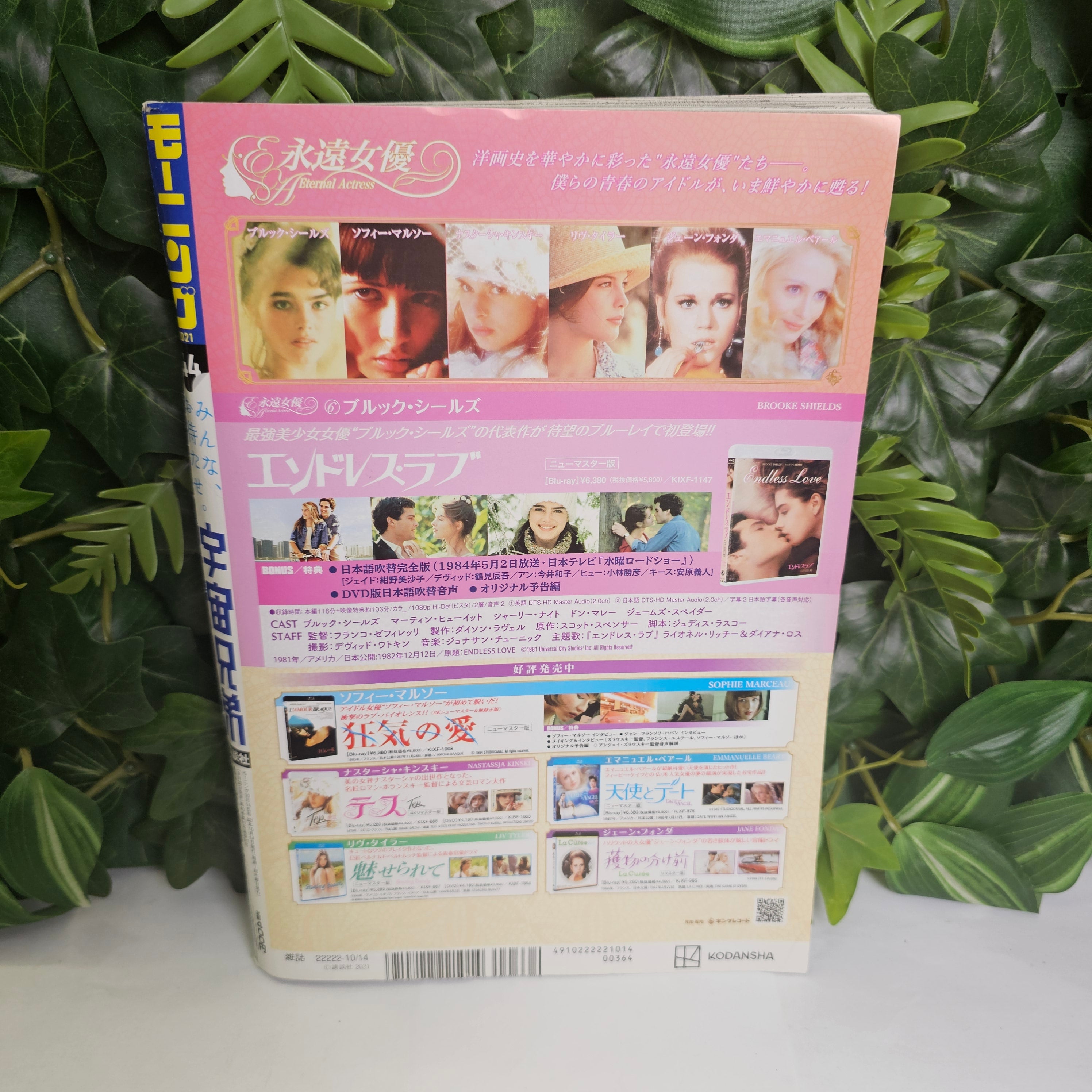 Weekly Morning Magazine n°44 (2021)