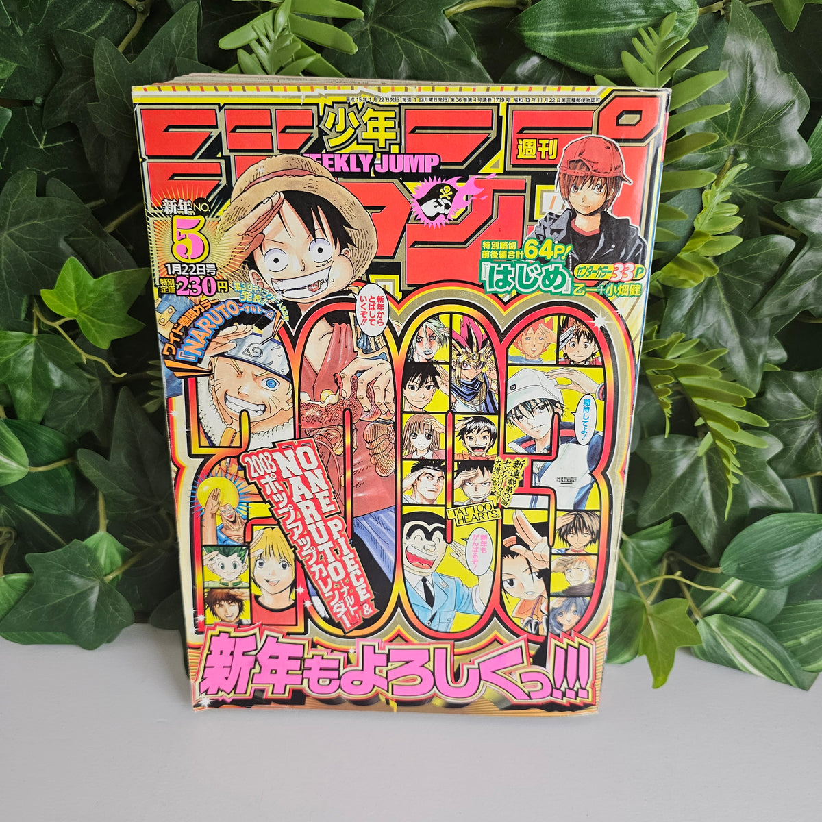 Weekly Shonen Jump n°5 (2003) (One Piece)