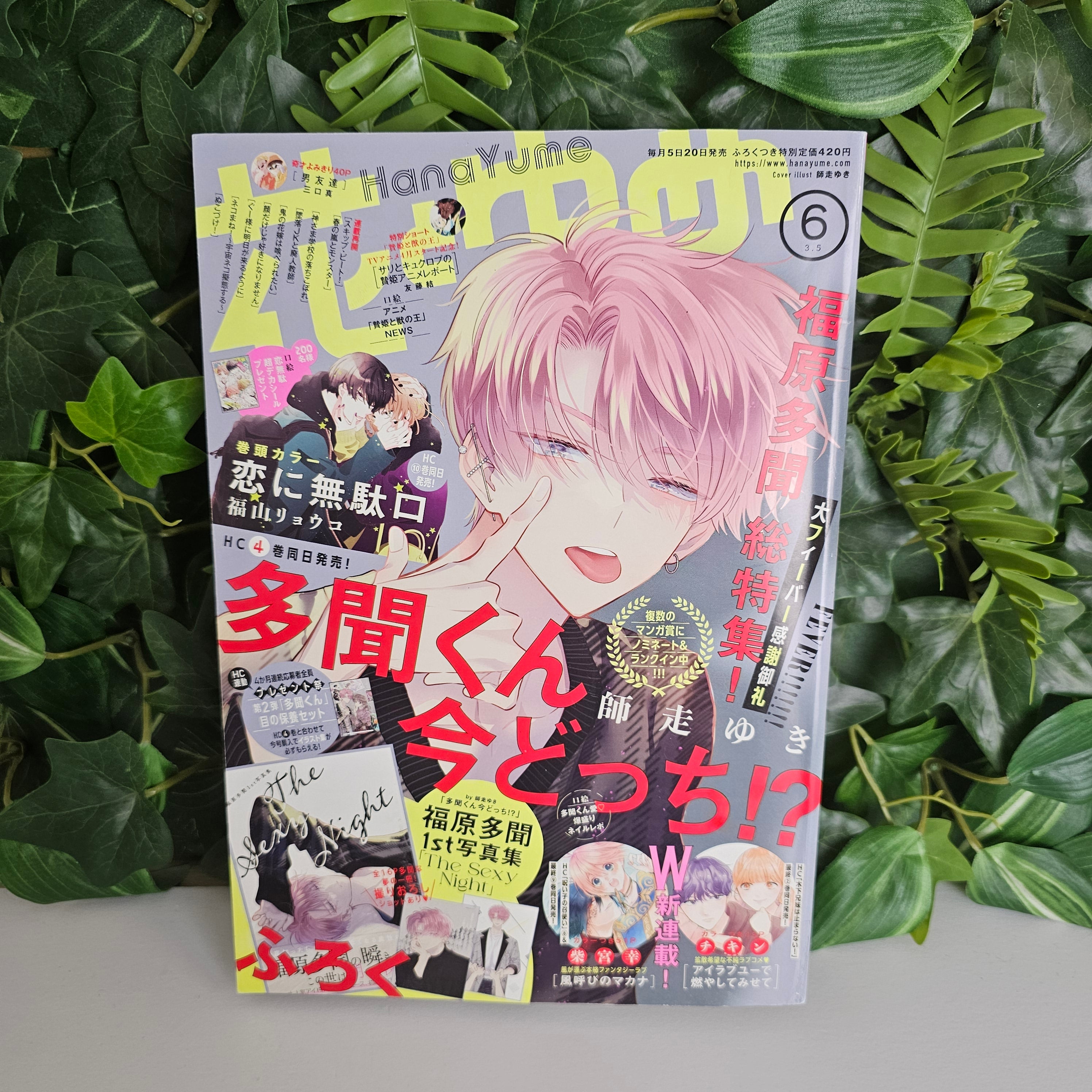 Hana To Yume n°6 (2023) (Tamon's B-Side)