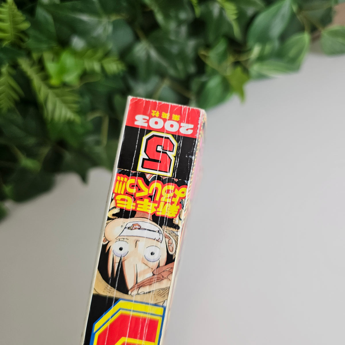 Weekly Shonen Jump n°5 (2003) (One Piece)