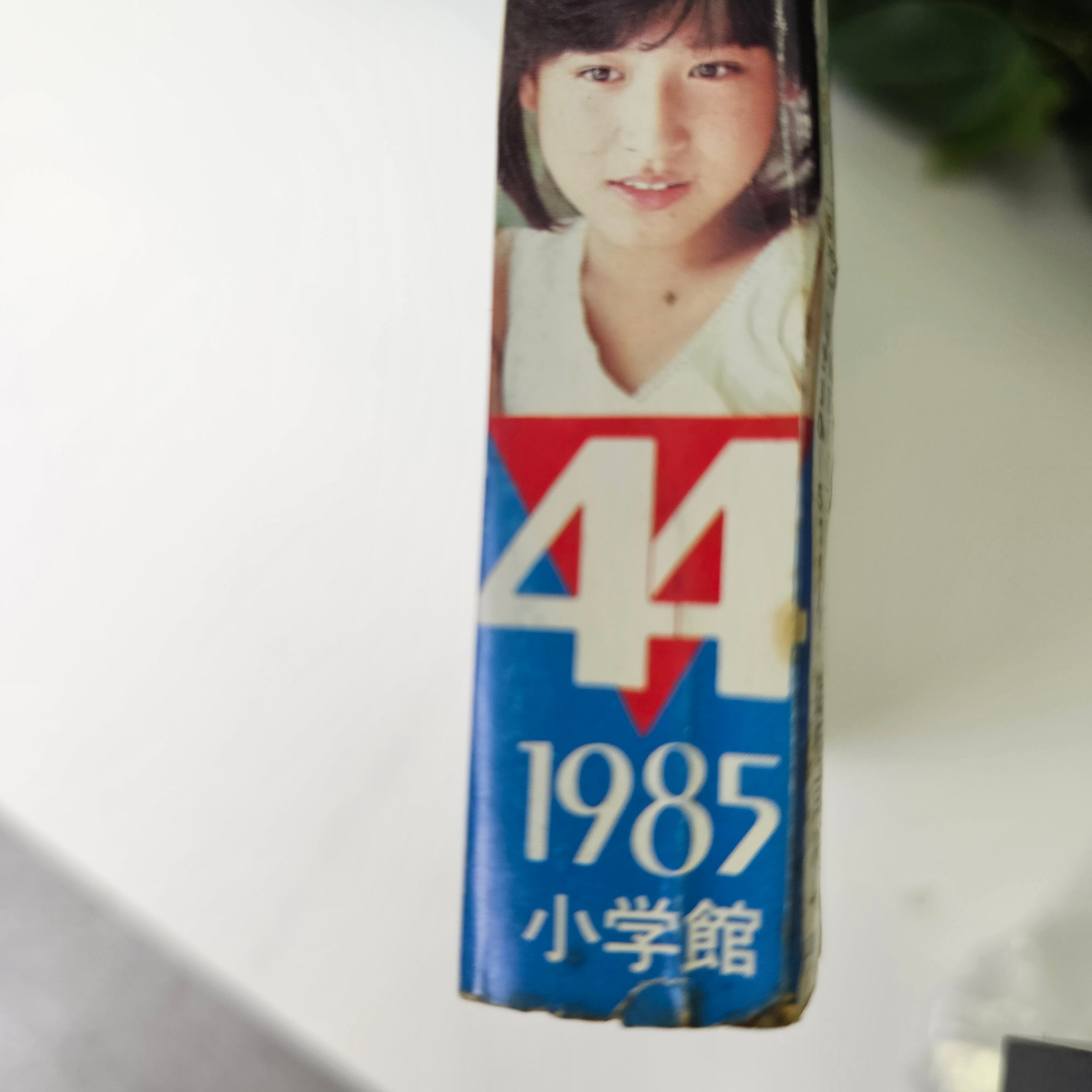 Weekly Shonen Sunday n°44 (1985)