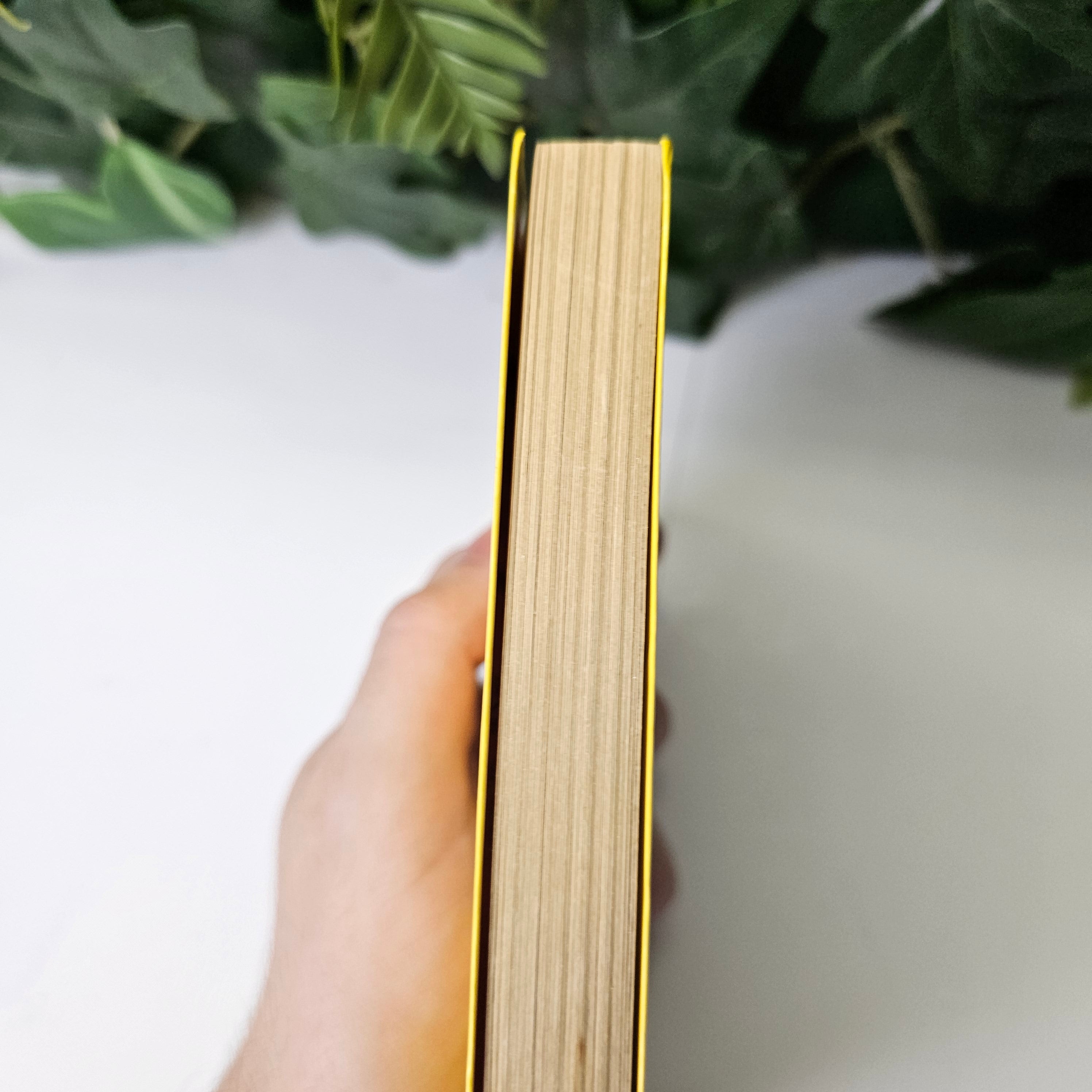 Banana Fish - Tome 1 (VO)