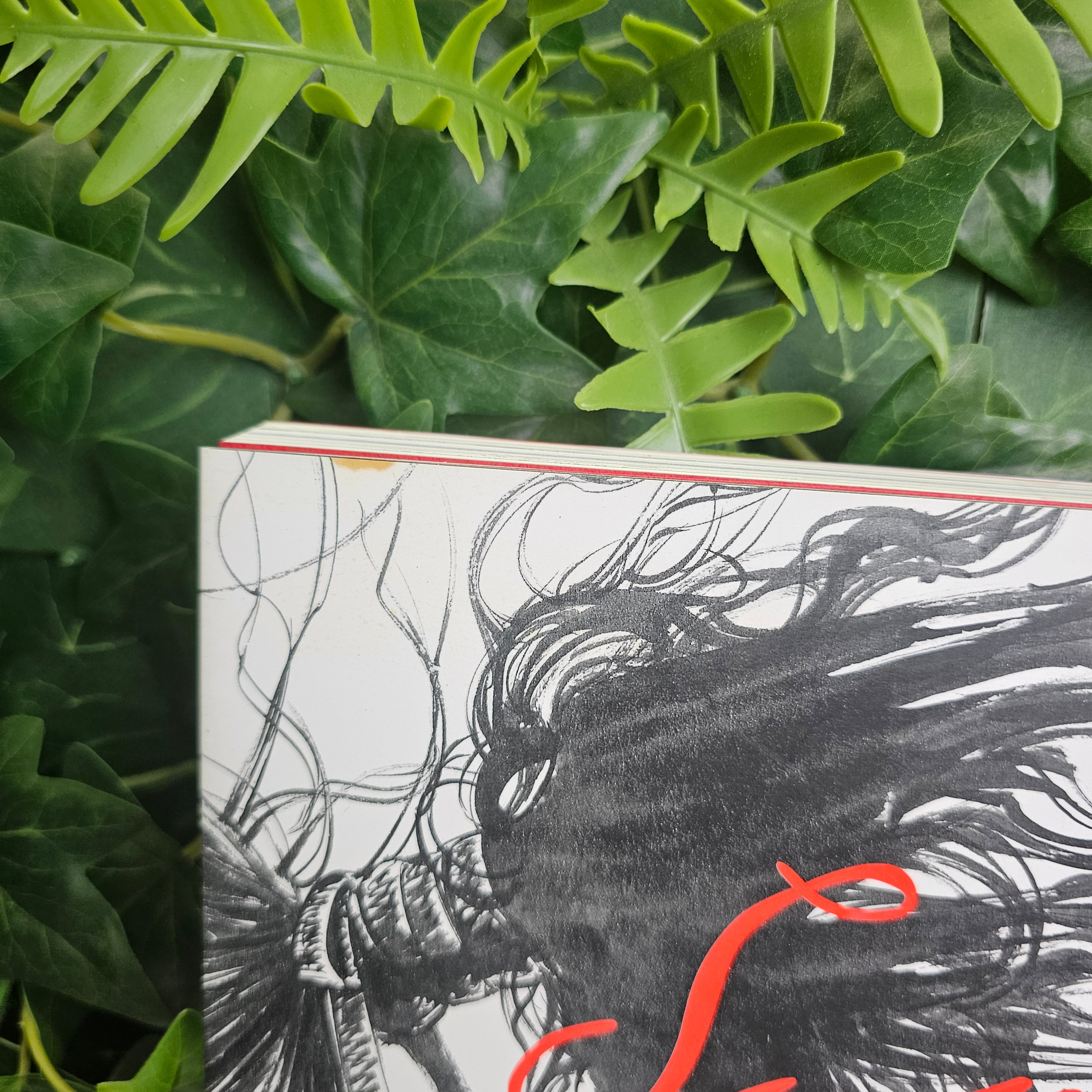 Coffret Collector Artbook - Water + Sumi (Vagabond) (2006 first print)