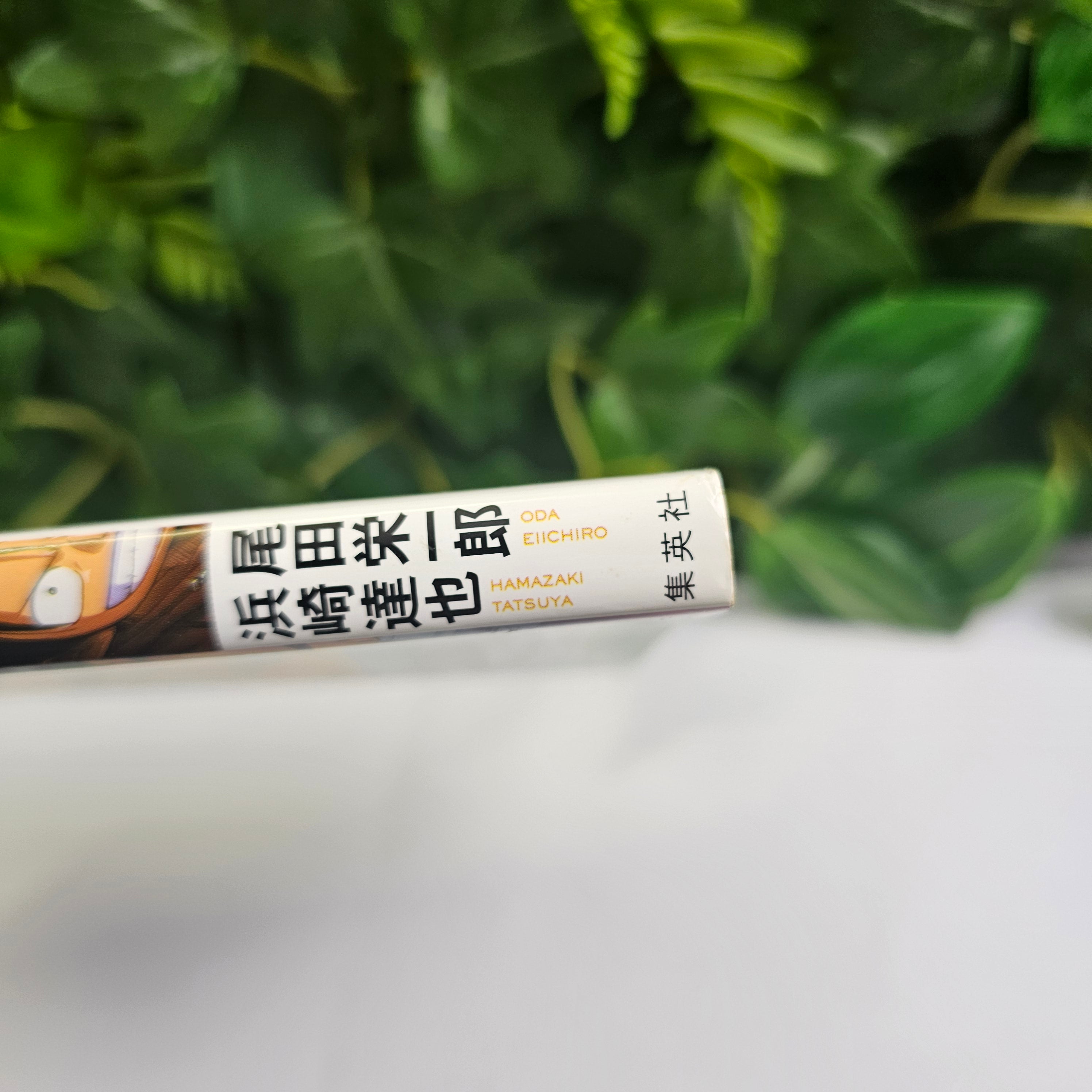 One Piece - Novel MUGIWARA CHASE