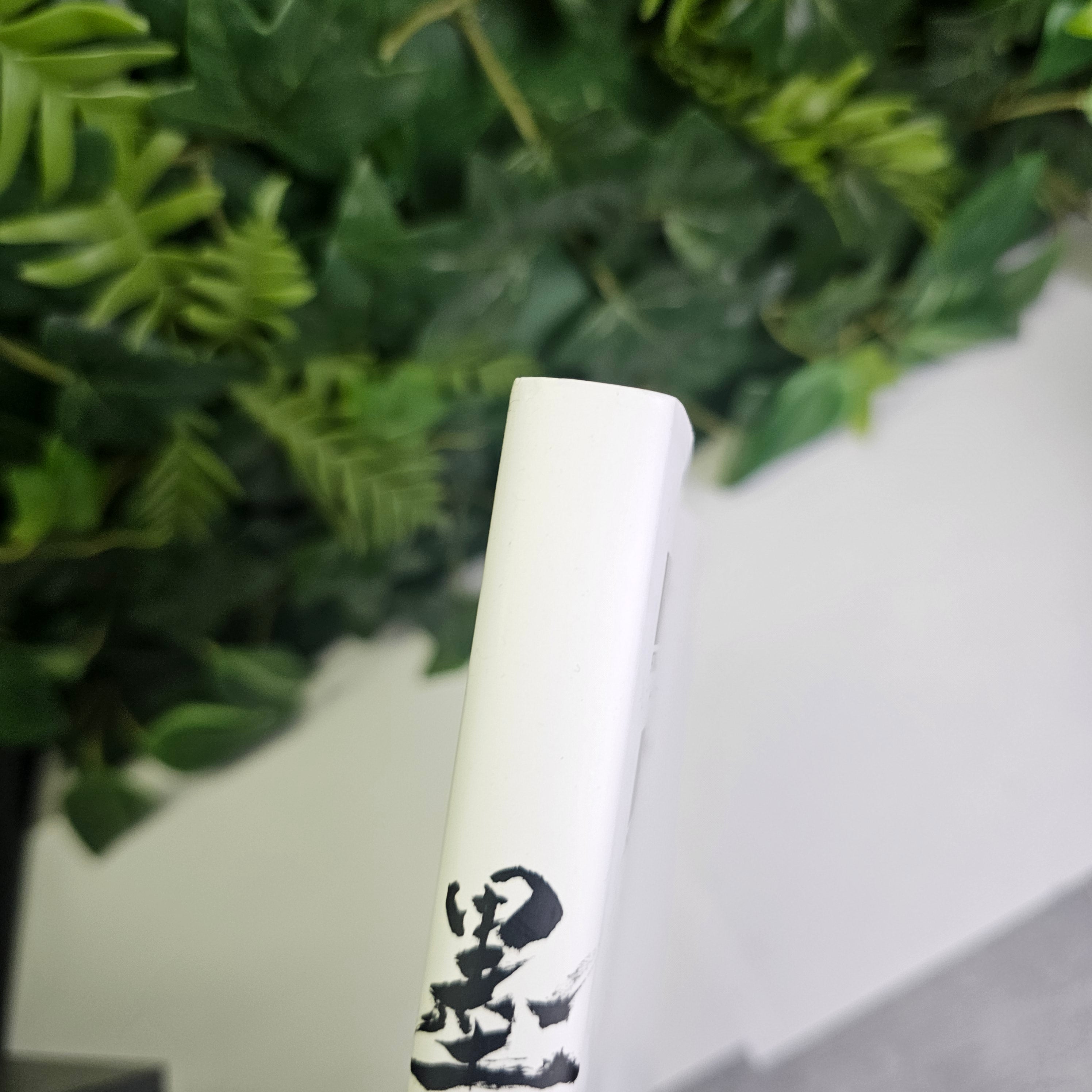 Artbook - Sumi Vagabond