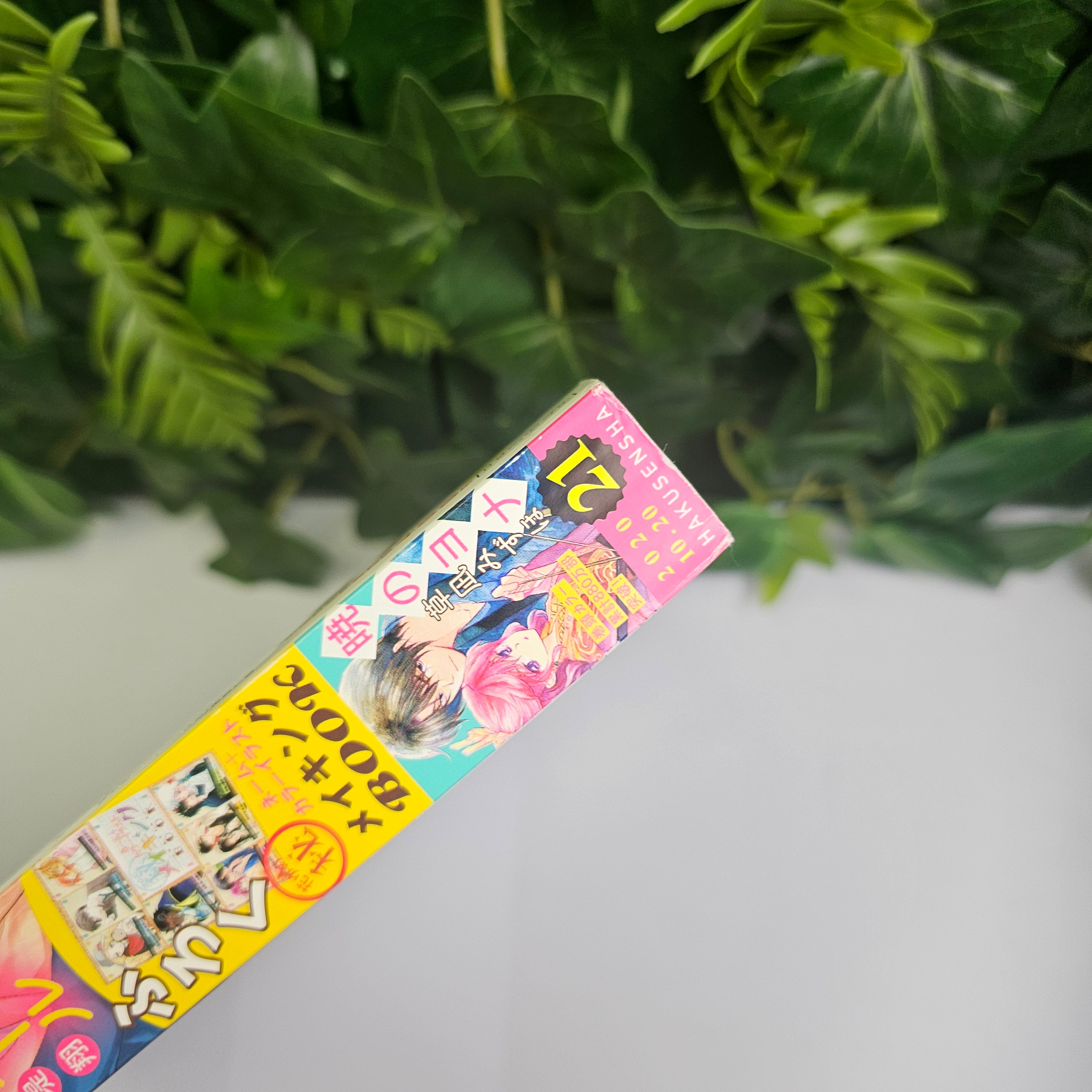 Hana to Yume n°21 (2020) (Furare Girl)