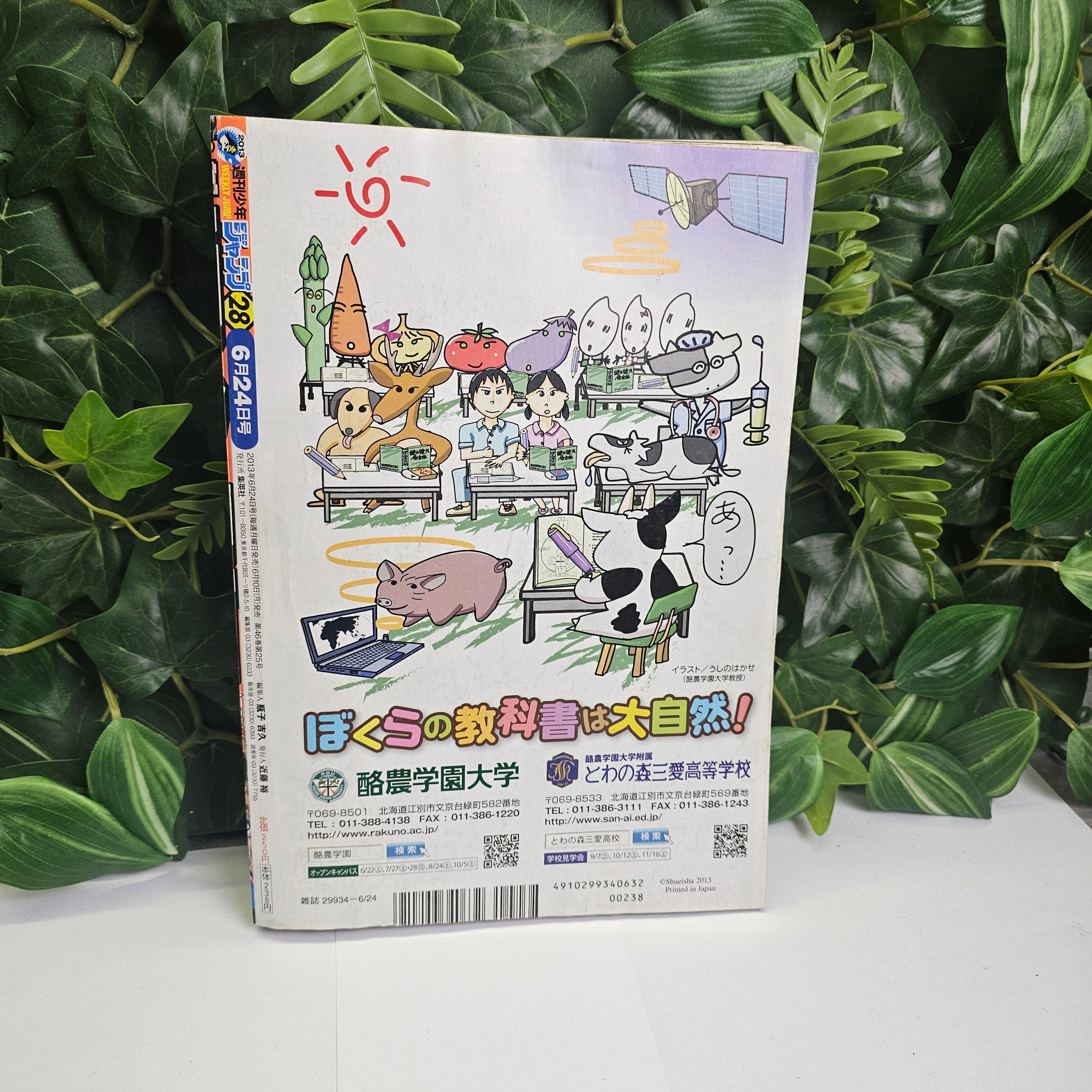 Weekly Shonen Jump n°28 (2013) (One Piece)