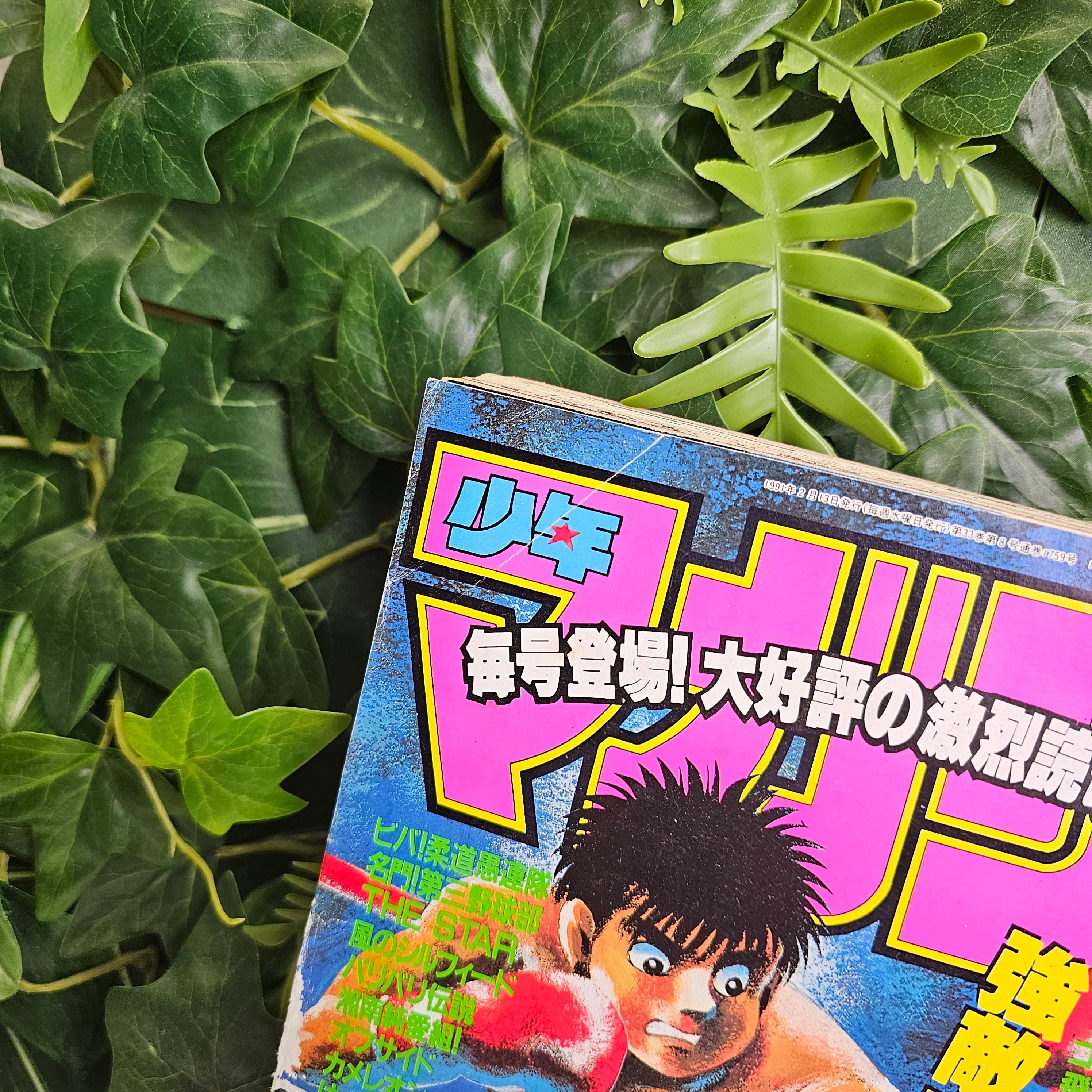 Weekly Shonen Magazine n°8 (1991) (Hajime No Ippo)