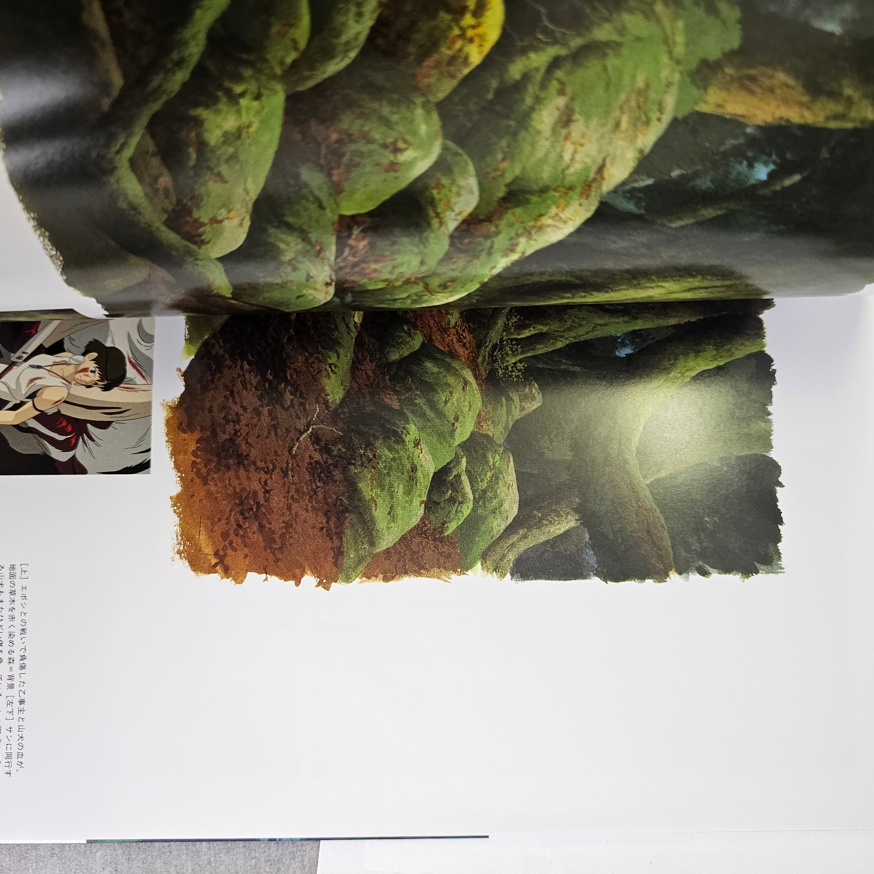 The Art of Princess Mononoke