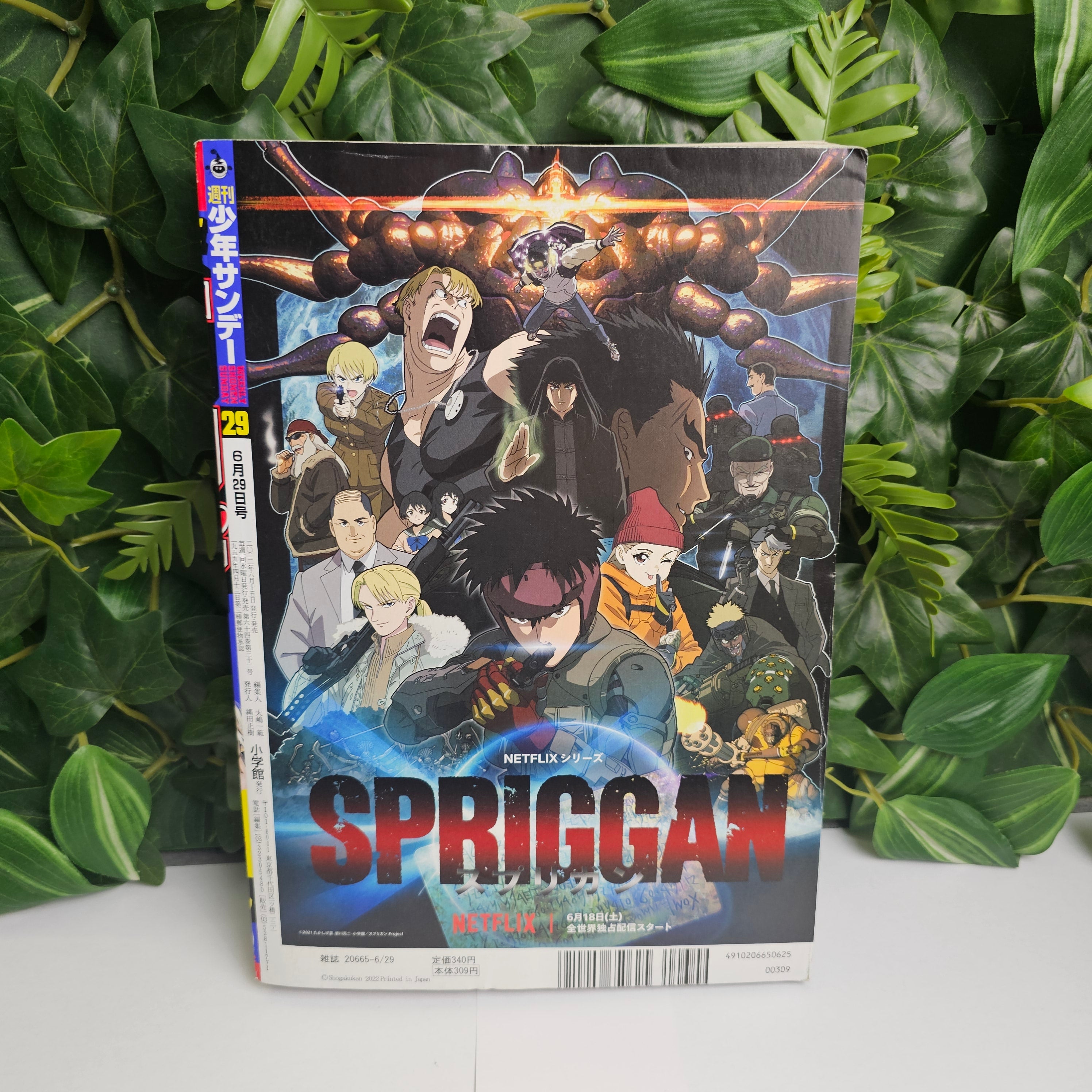 Weekly Shonen Sunday n°29 (2022)