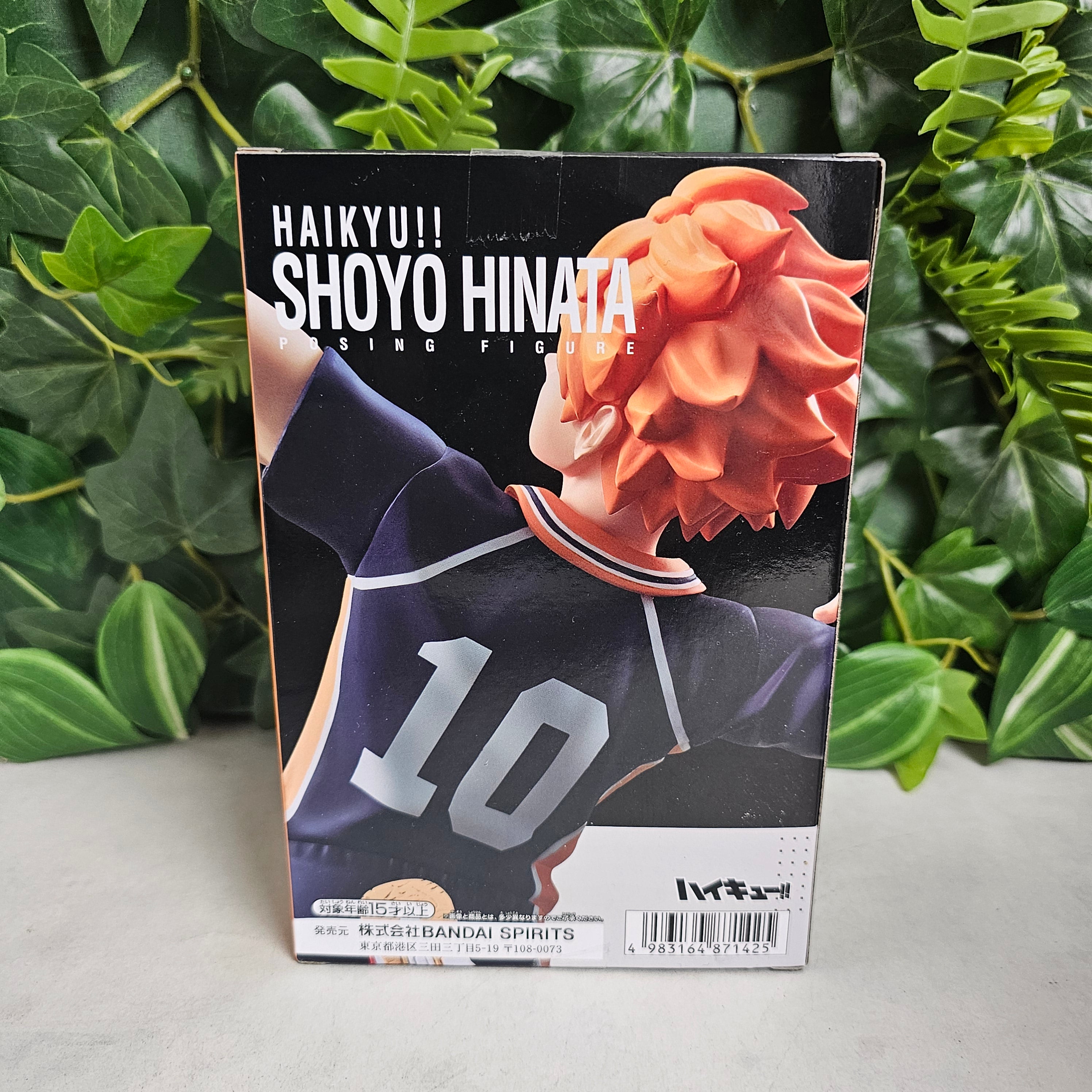 Posing Figure - Shoyo Hinata