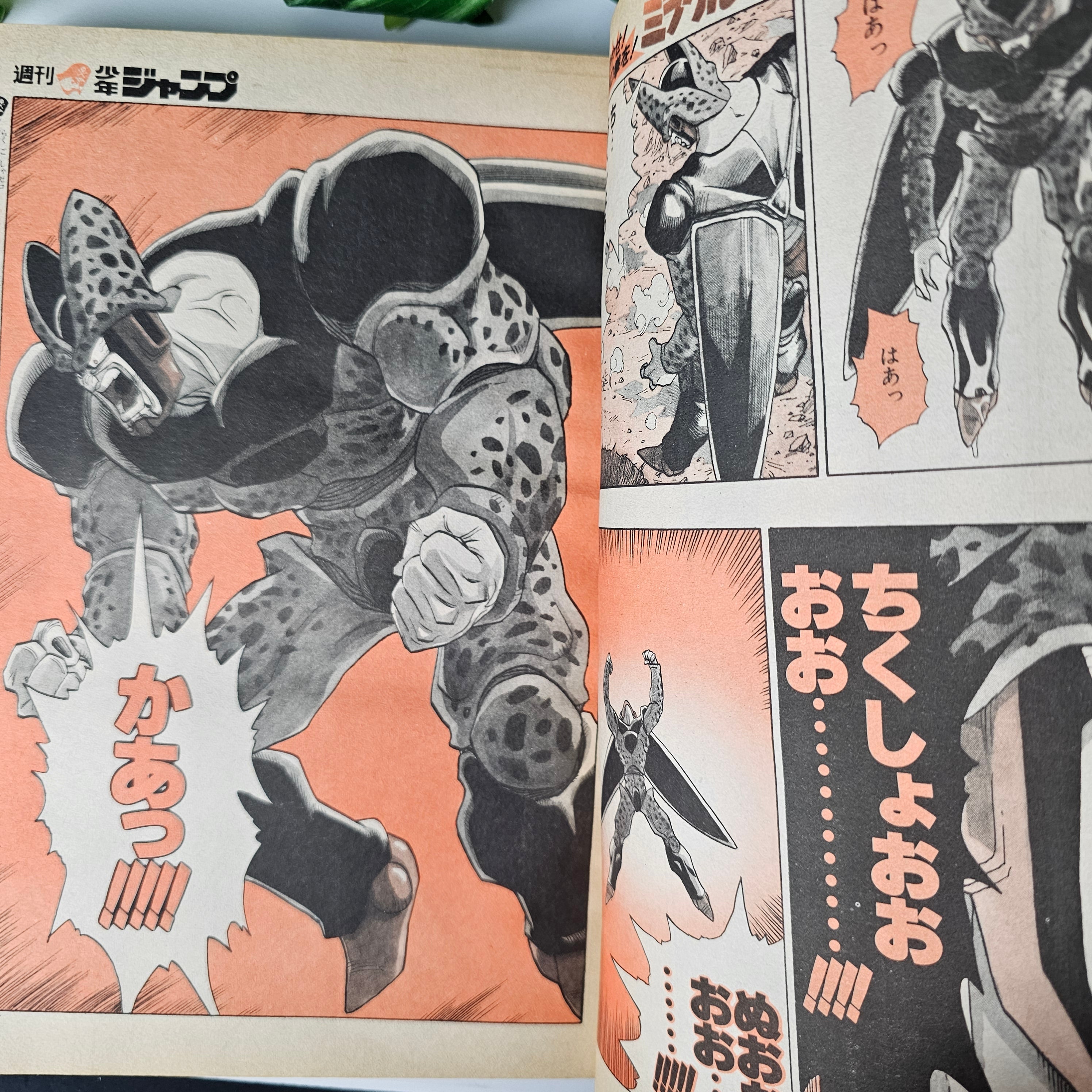 Weekly Shonen Jump n°12 (1993) (Yu Yu Hakusho) (Chapitre colo Dragon Ball)
