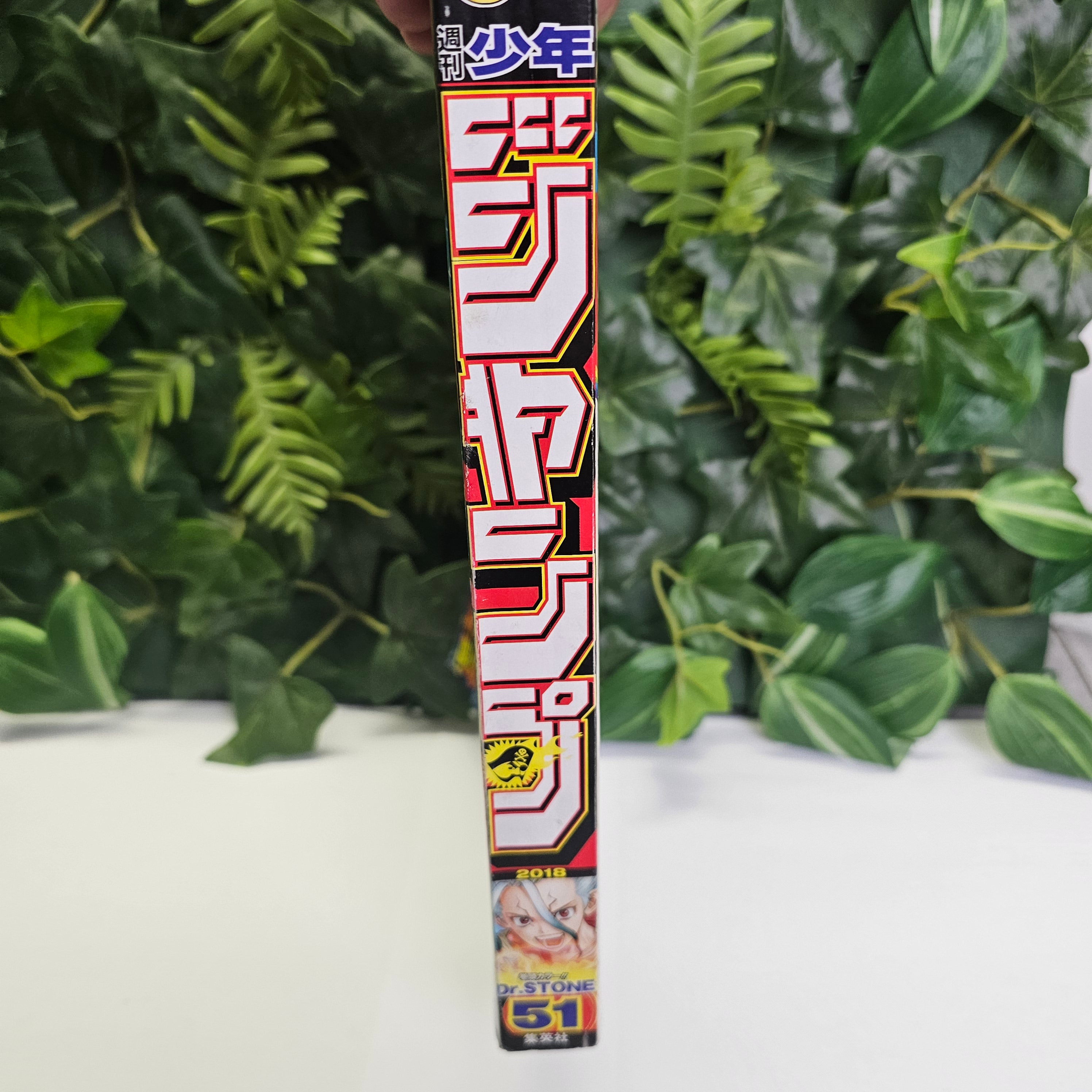 Weekly Shonen Jump n°51 (2018)