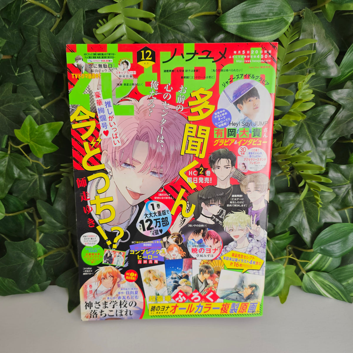 Hana To Yume n°12 (2022) (Tamon's B-Side)