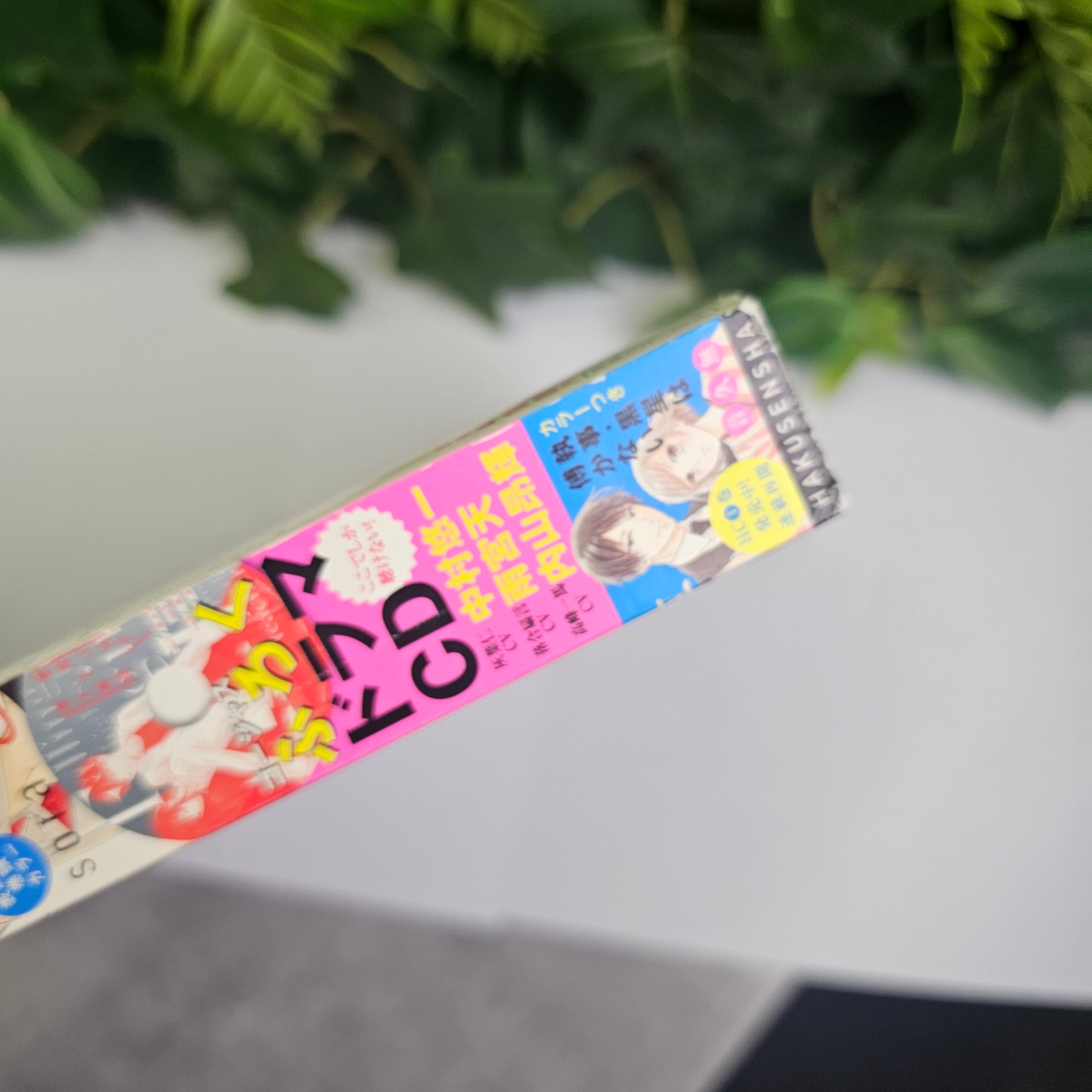 Hana to Yume n°16 (2019) (suiraku JK to Haijin Kyōshi)