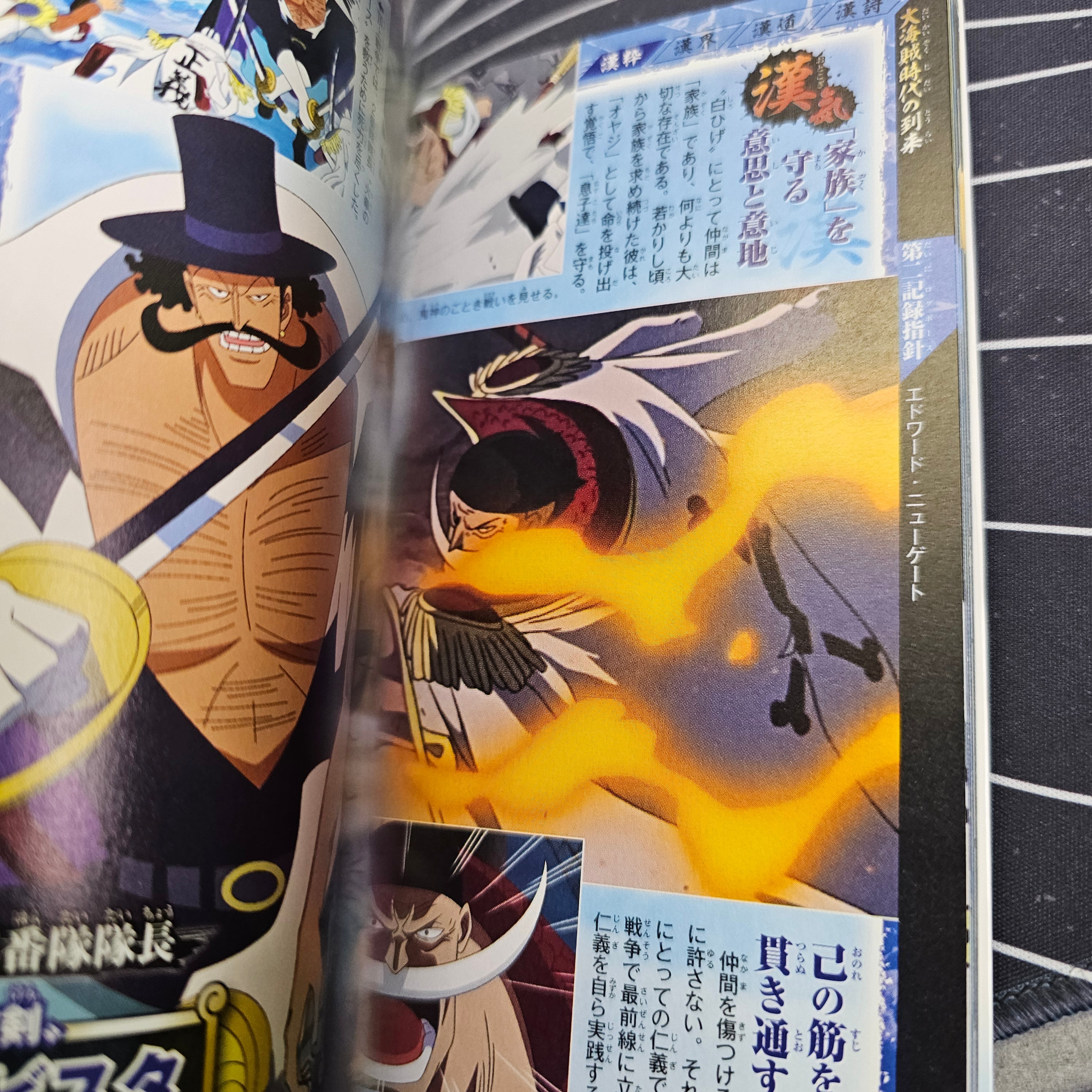 One Piece : WHITE - LOGBOOK DATA