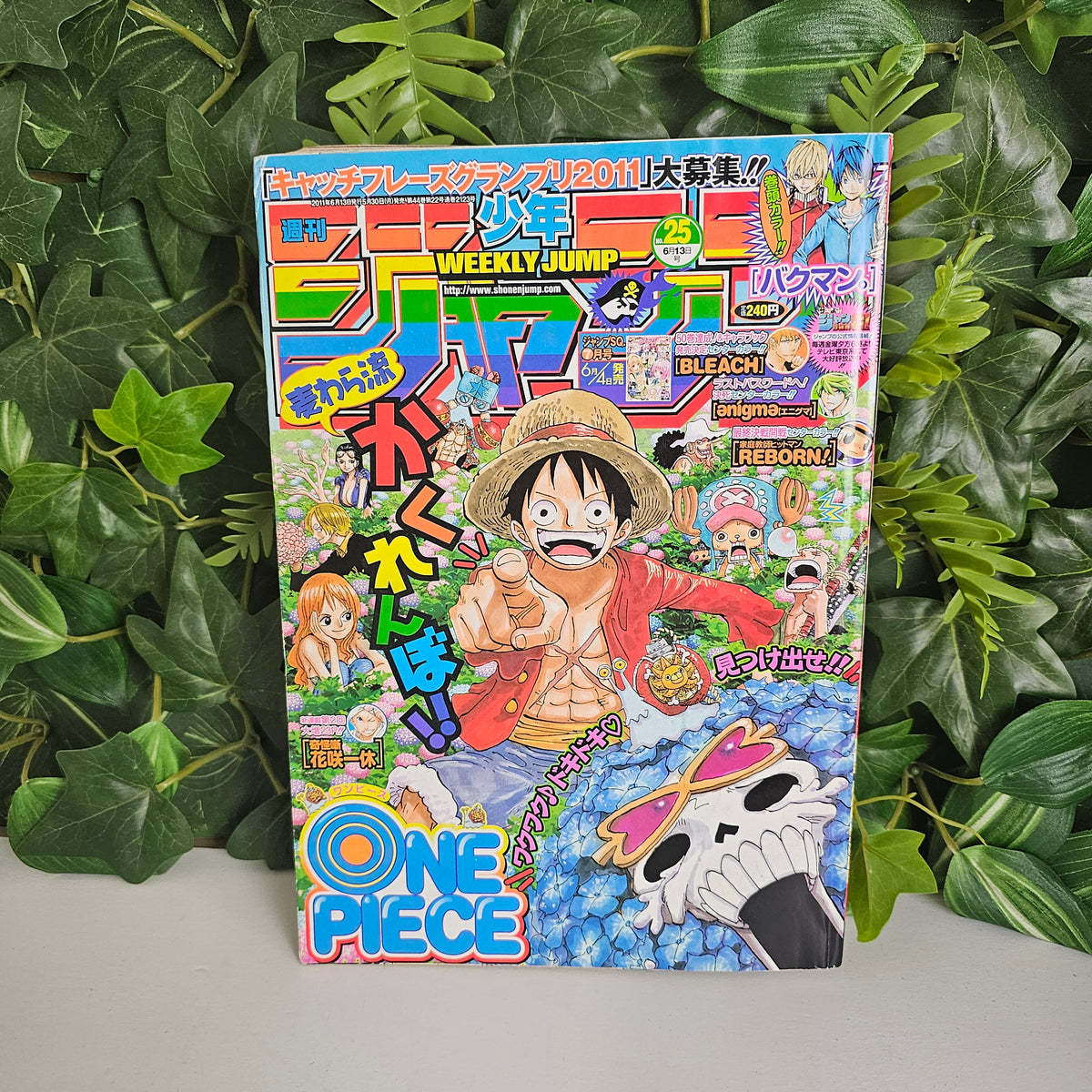 Weekly Shonen Jump n°25 (2011) (One Piece)