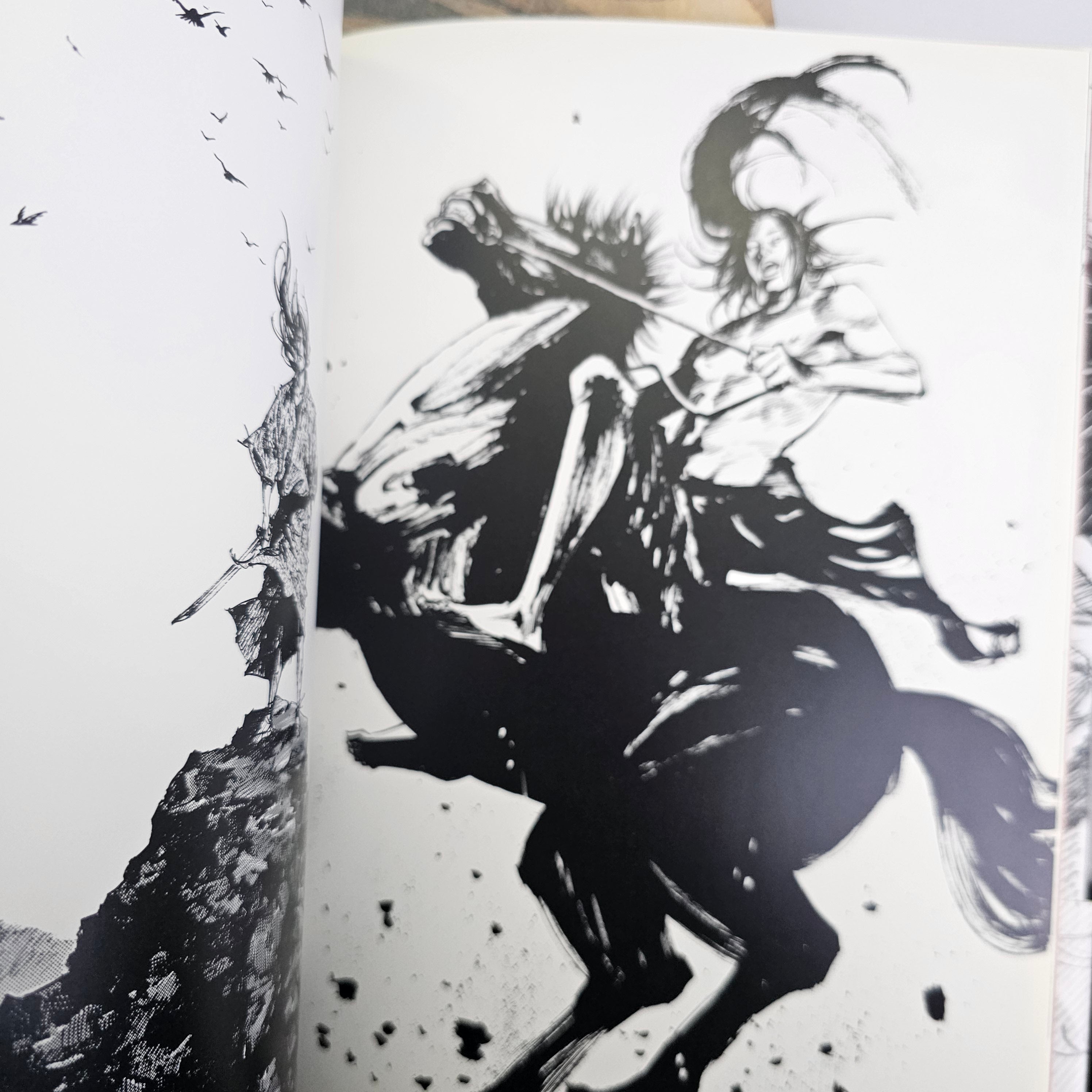 Coffret Collector Artbook - Water + Sumi (Vagabond) (2006 first print)
