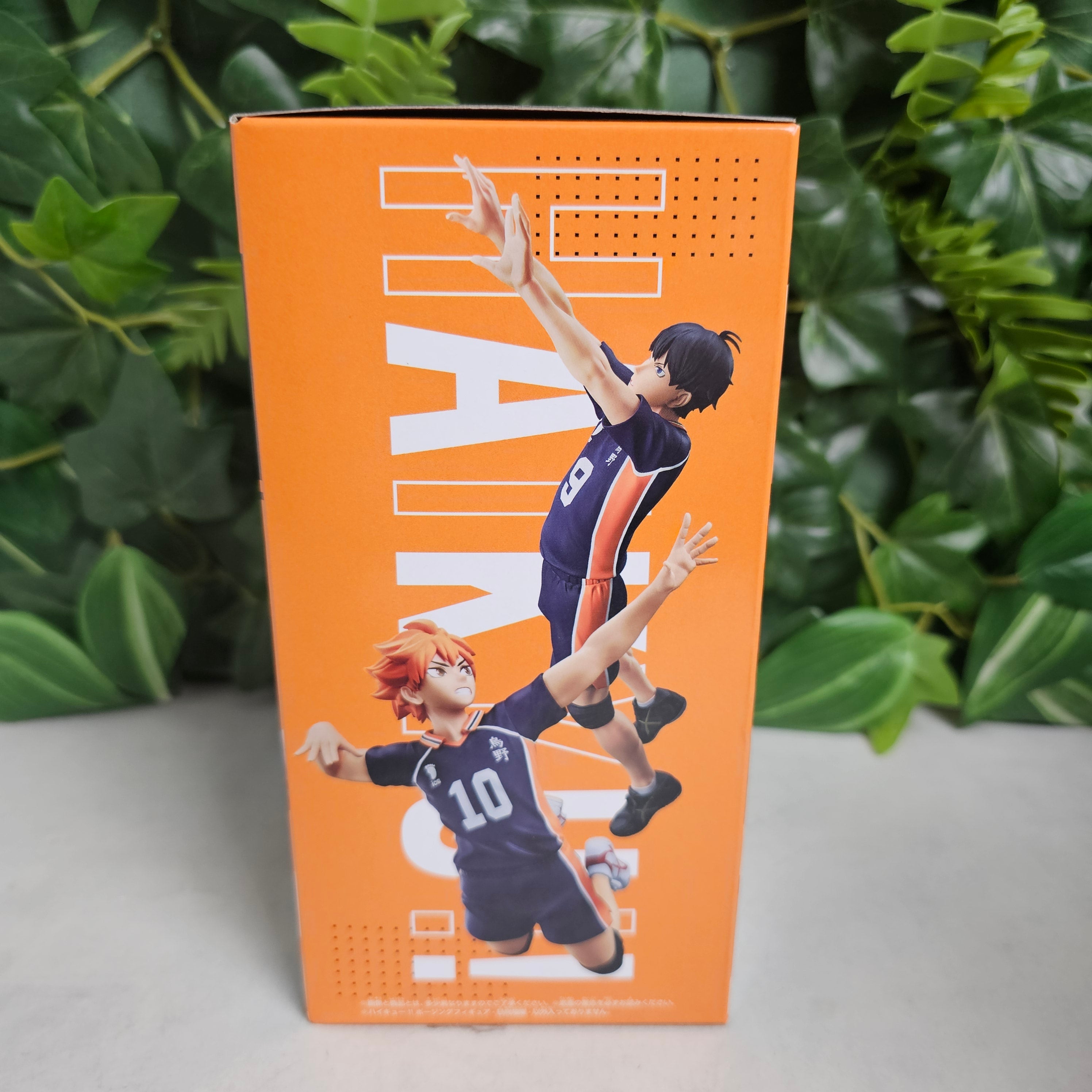 Posing Figure - Shoyo Hinata