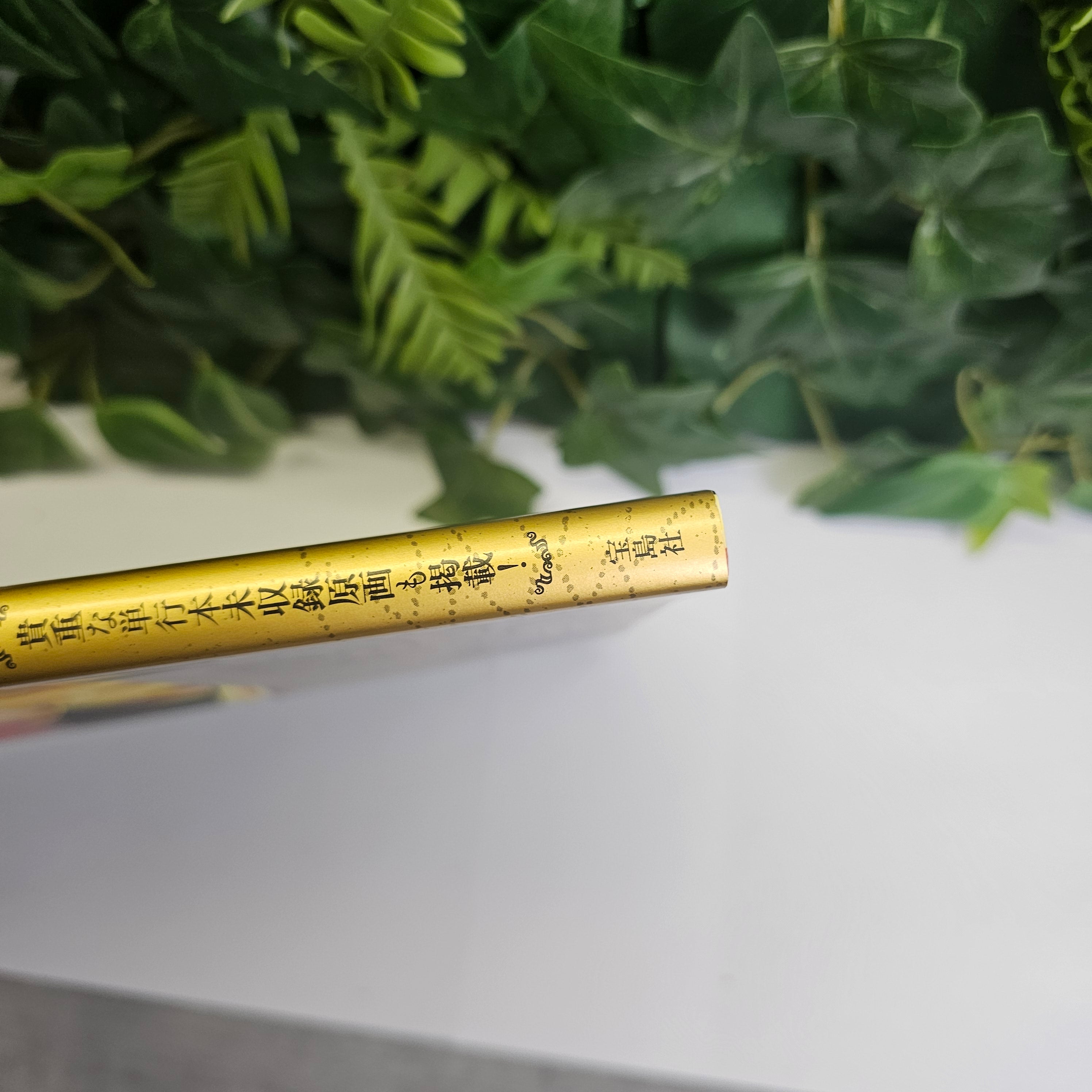 Saint Seiya - Artbook 30 ans