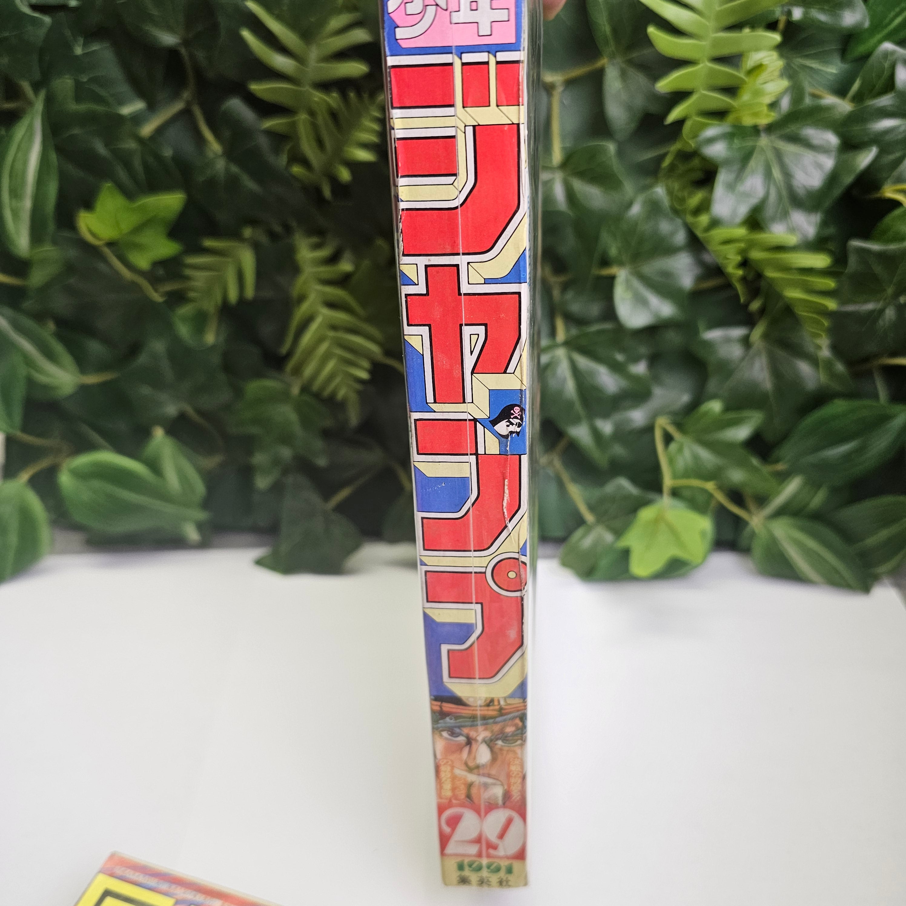 Weekly Shonen Jump n°29 (1991)