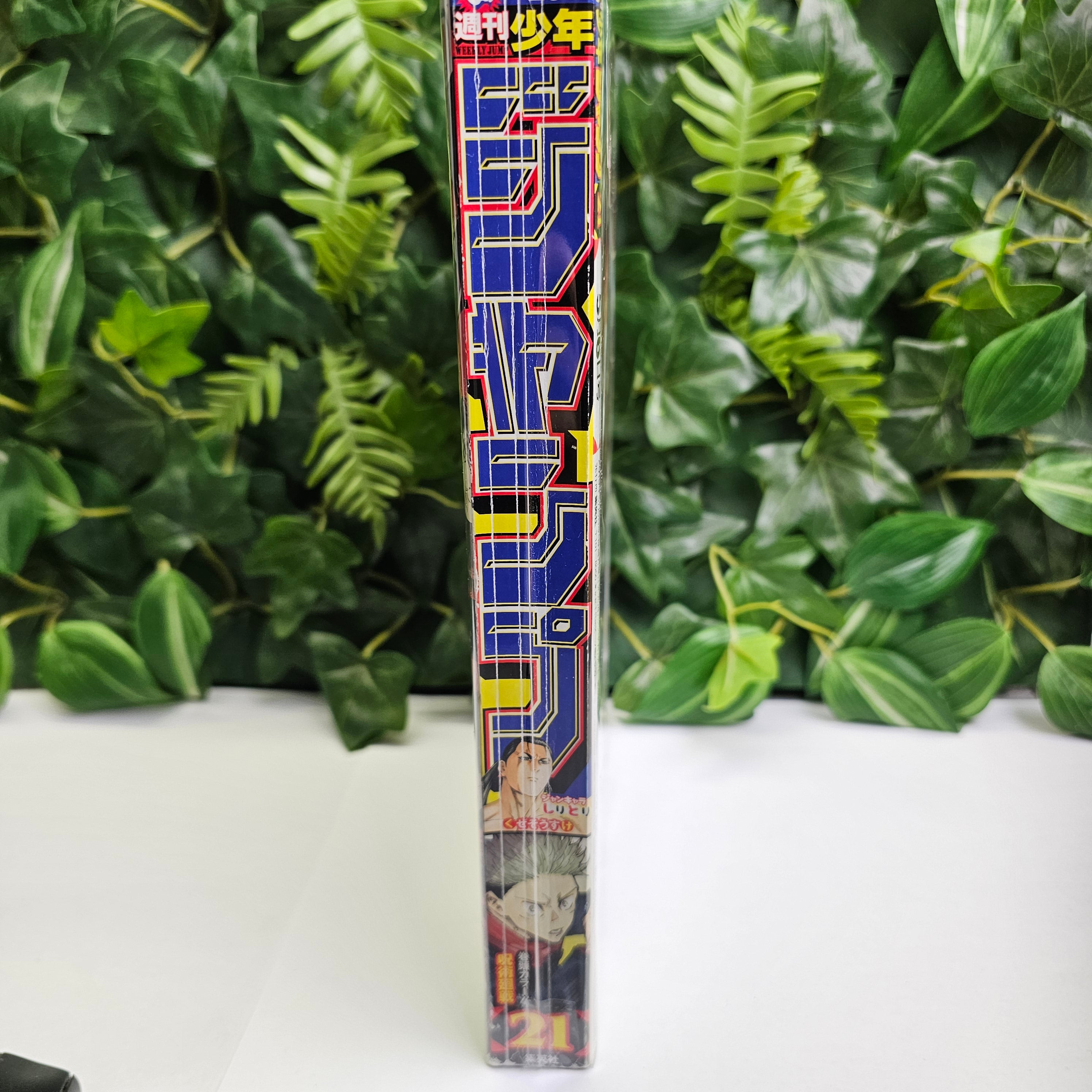 Weekly Shonen Jump n°21 (2019)