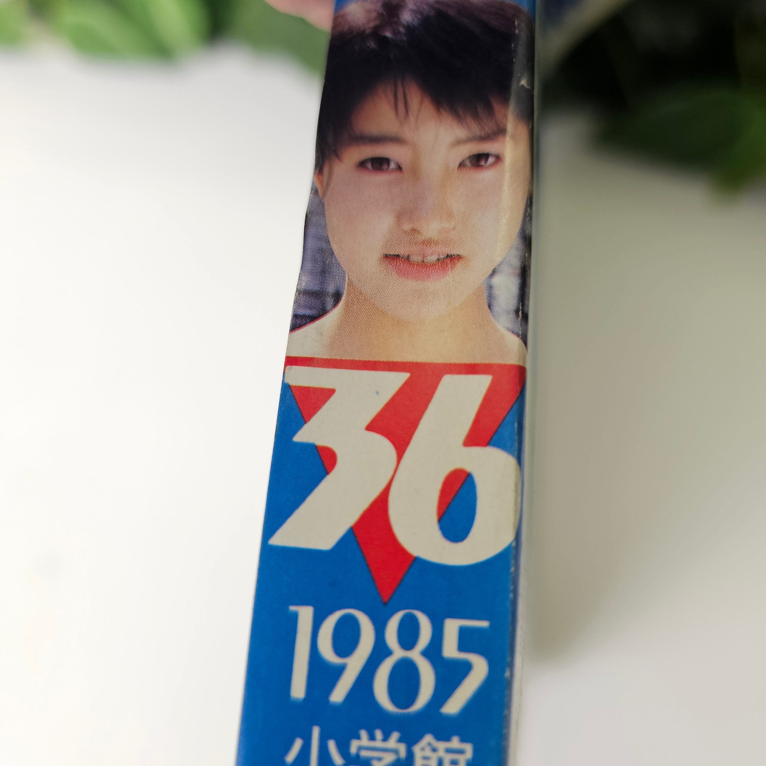 Weekly Shonen Sunday n°31 (1985)