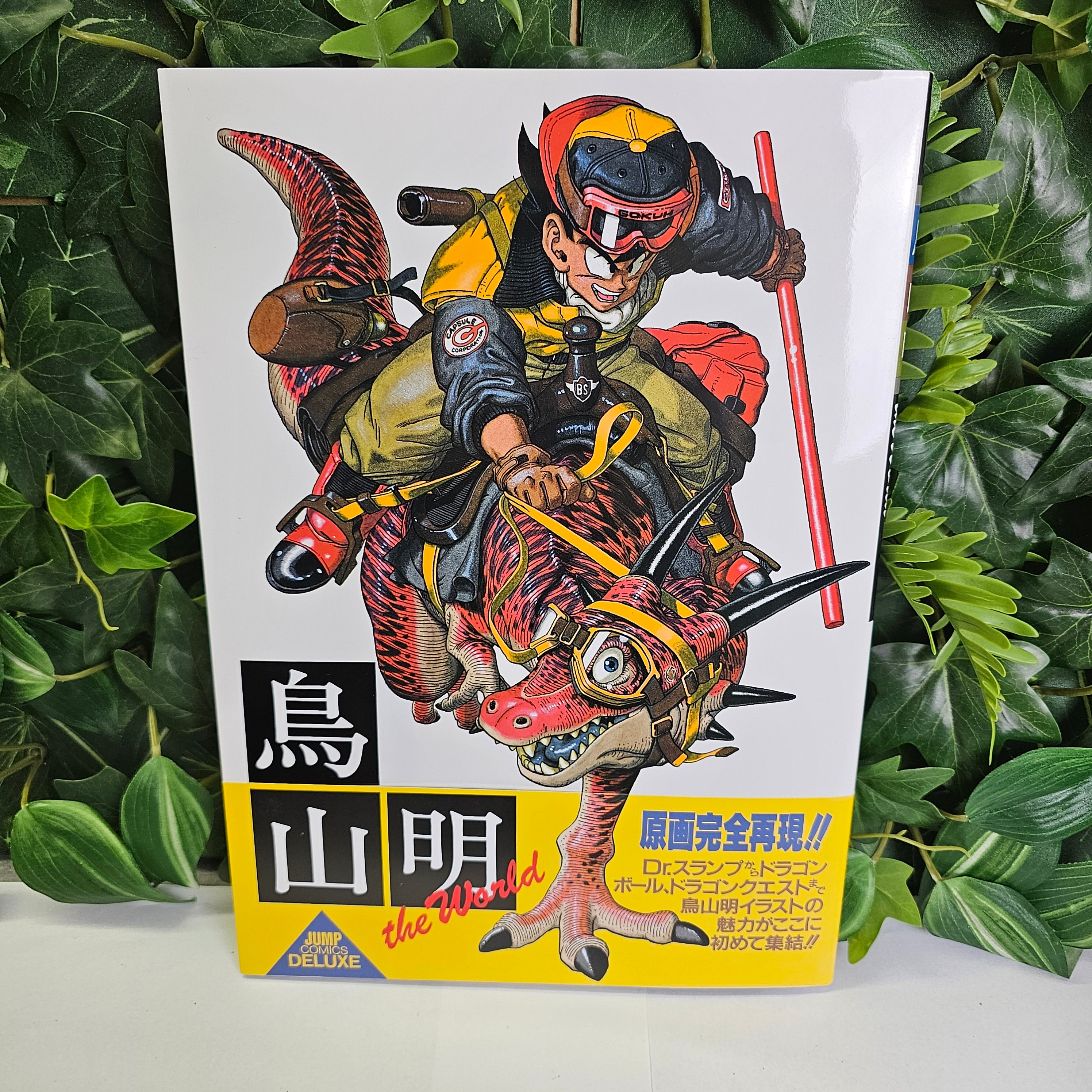 Dragon Ball artbook - Akira Toriyama - The World