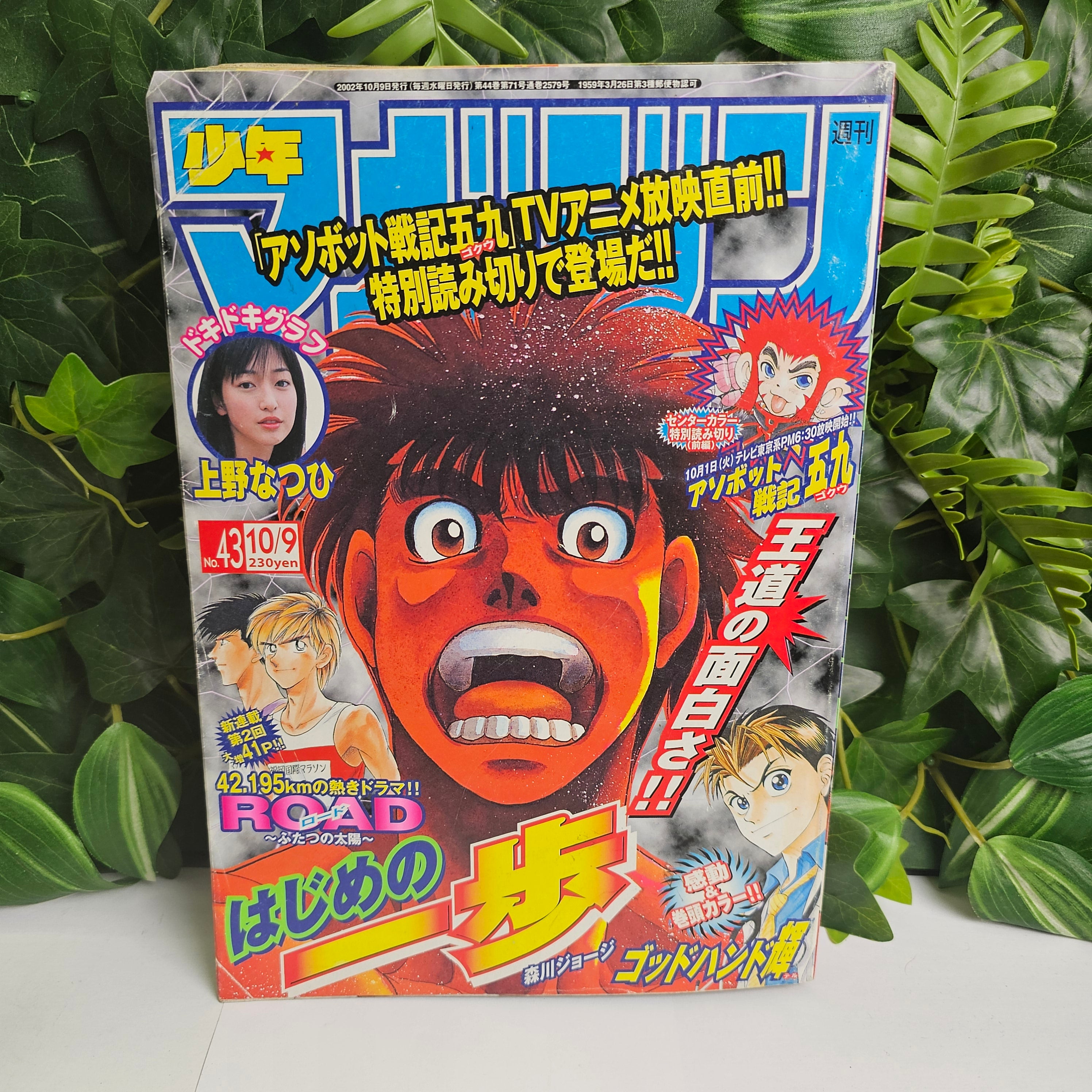 Weekly Shonen Magazine n°43 (2002)