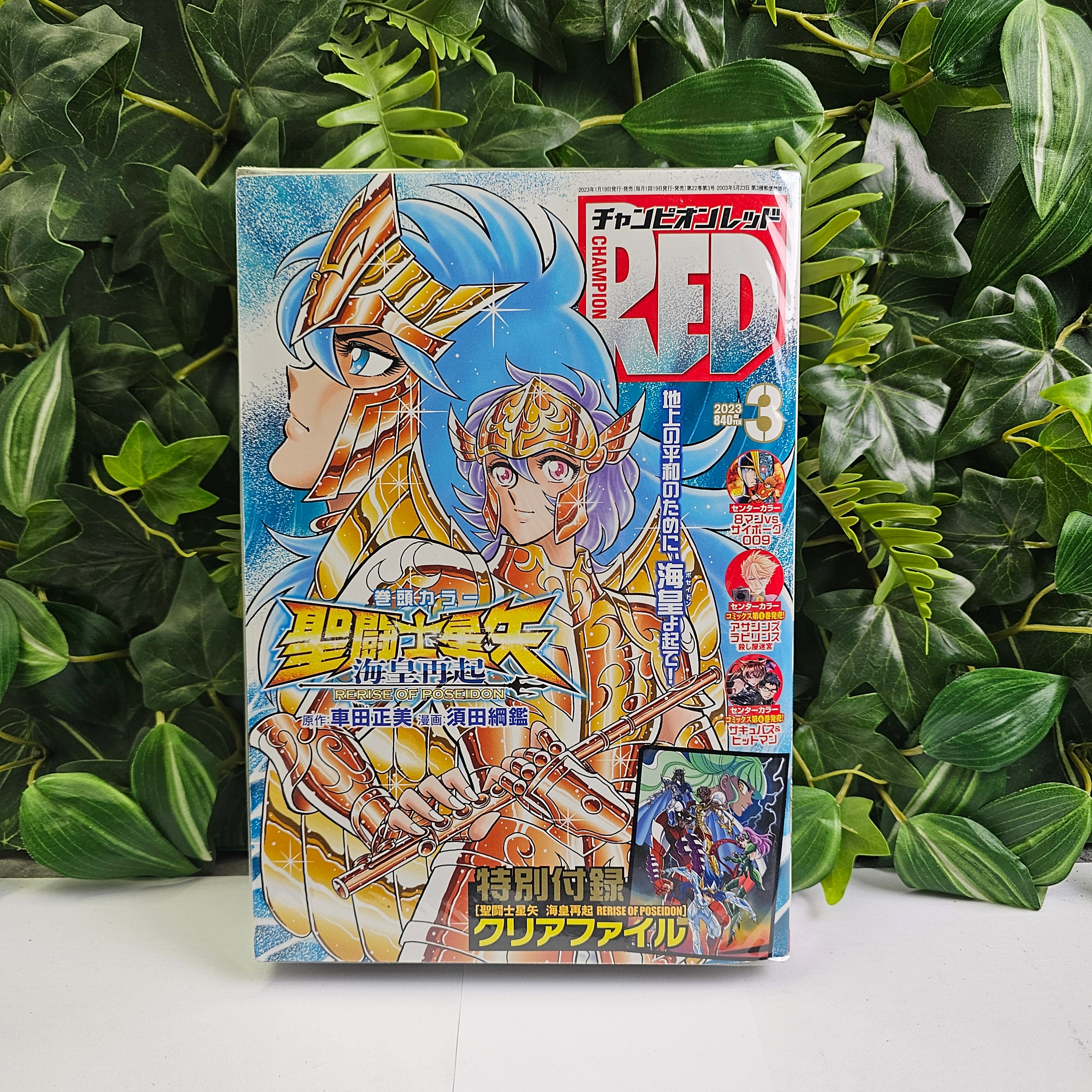 Champion RED n°3 (2023) (Saint Seiya)