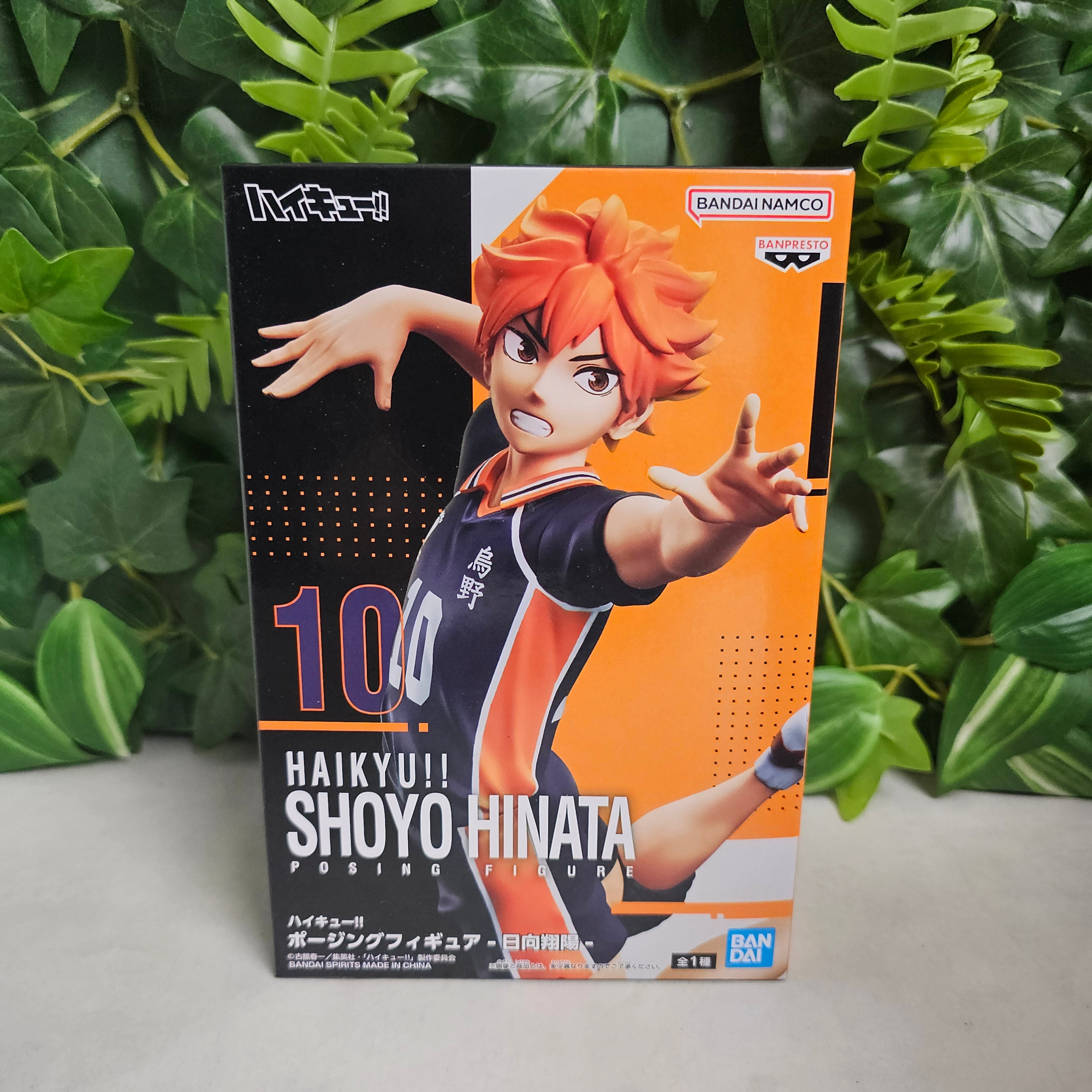 Posing Figure - Shoyo Hinata