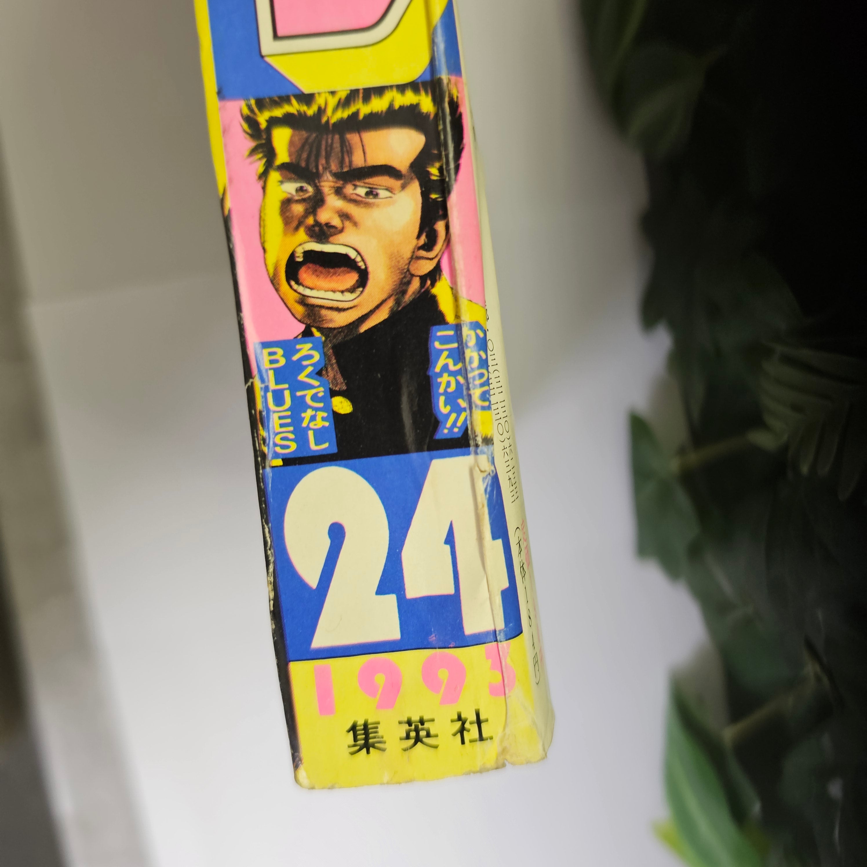 Weekly Shonen Jump n°24 (1993)